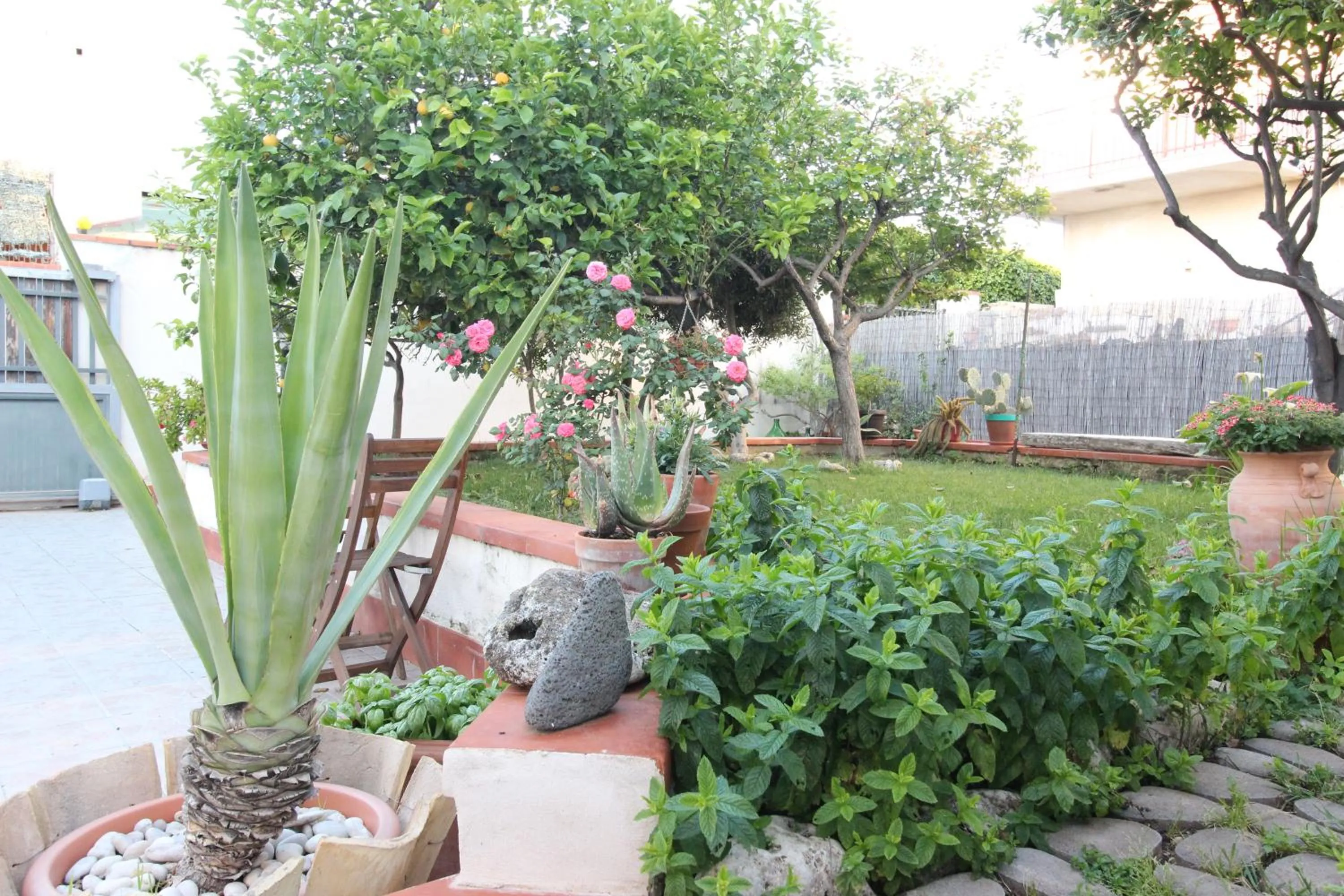 Garden in B&B San Leone