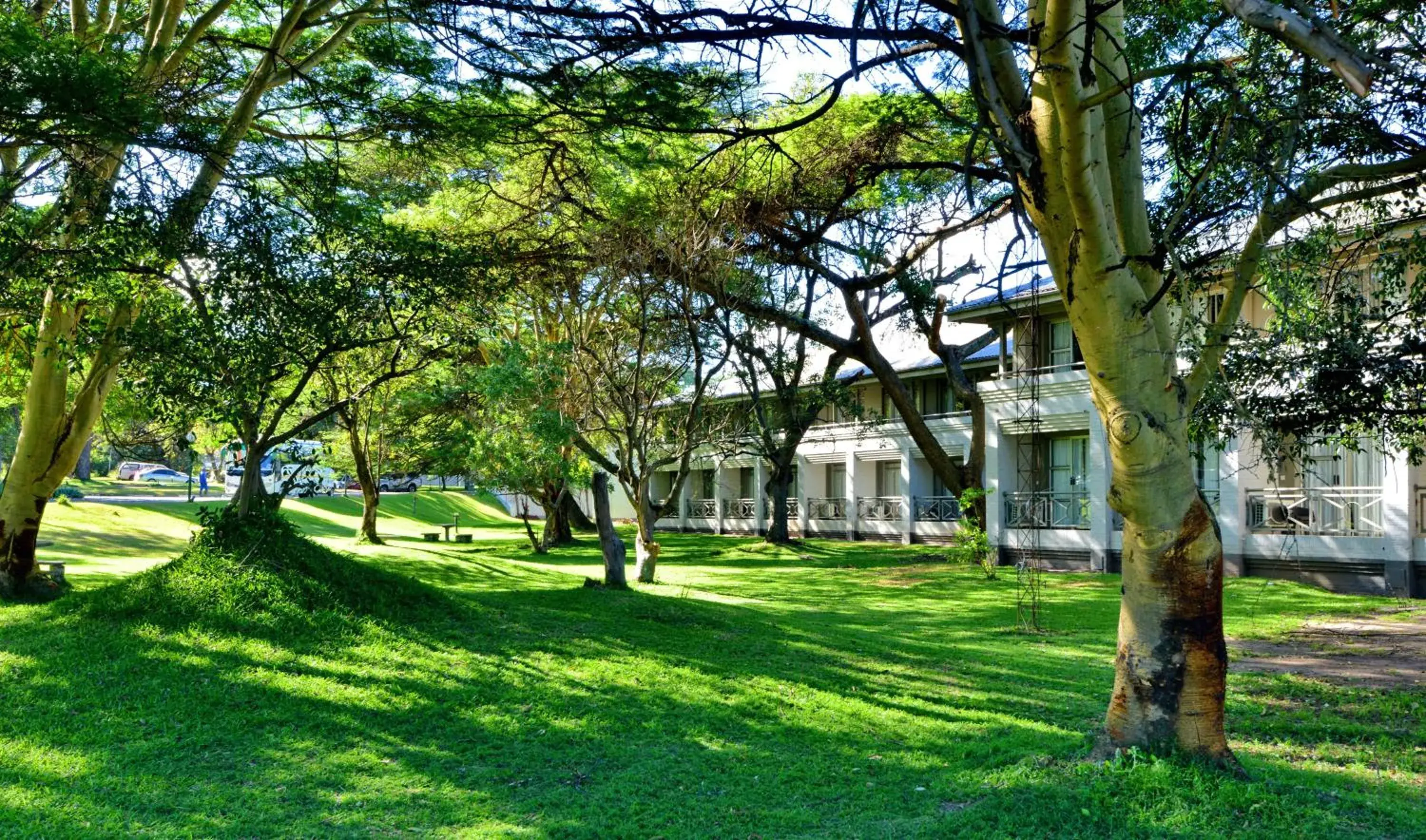 Deluxe Double Room - single occupancy in Cresta Lodge Harare Deluxe Double Room - single occupancy in Cresta Lodge Harare