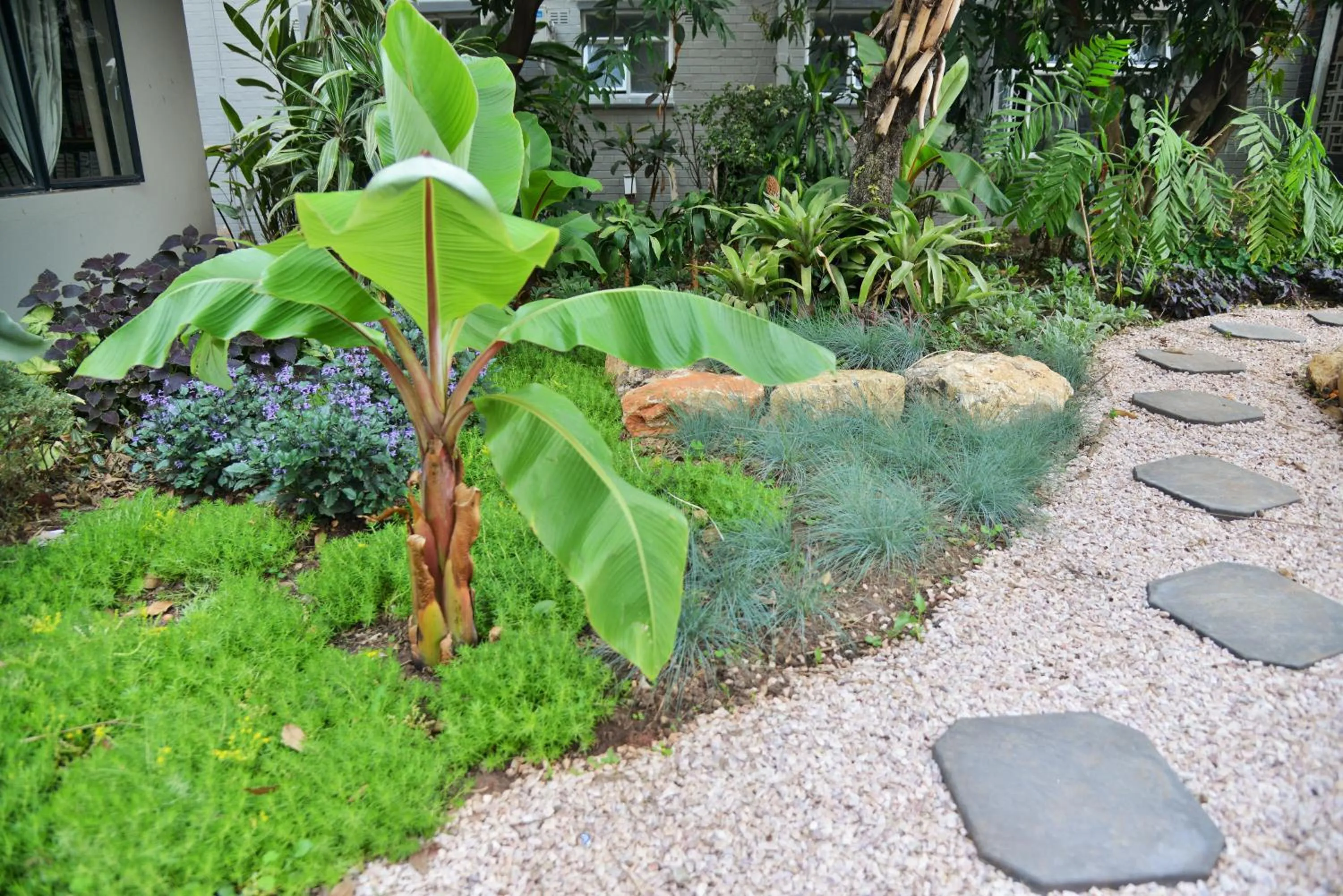 Garden in Cresta Oasis Hotel