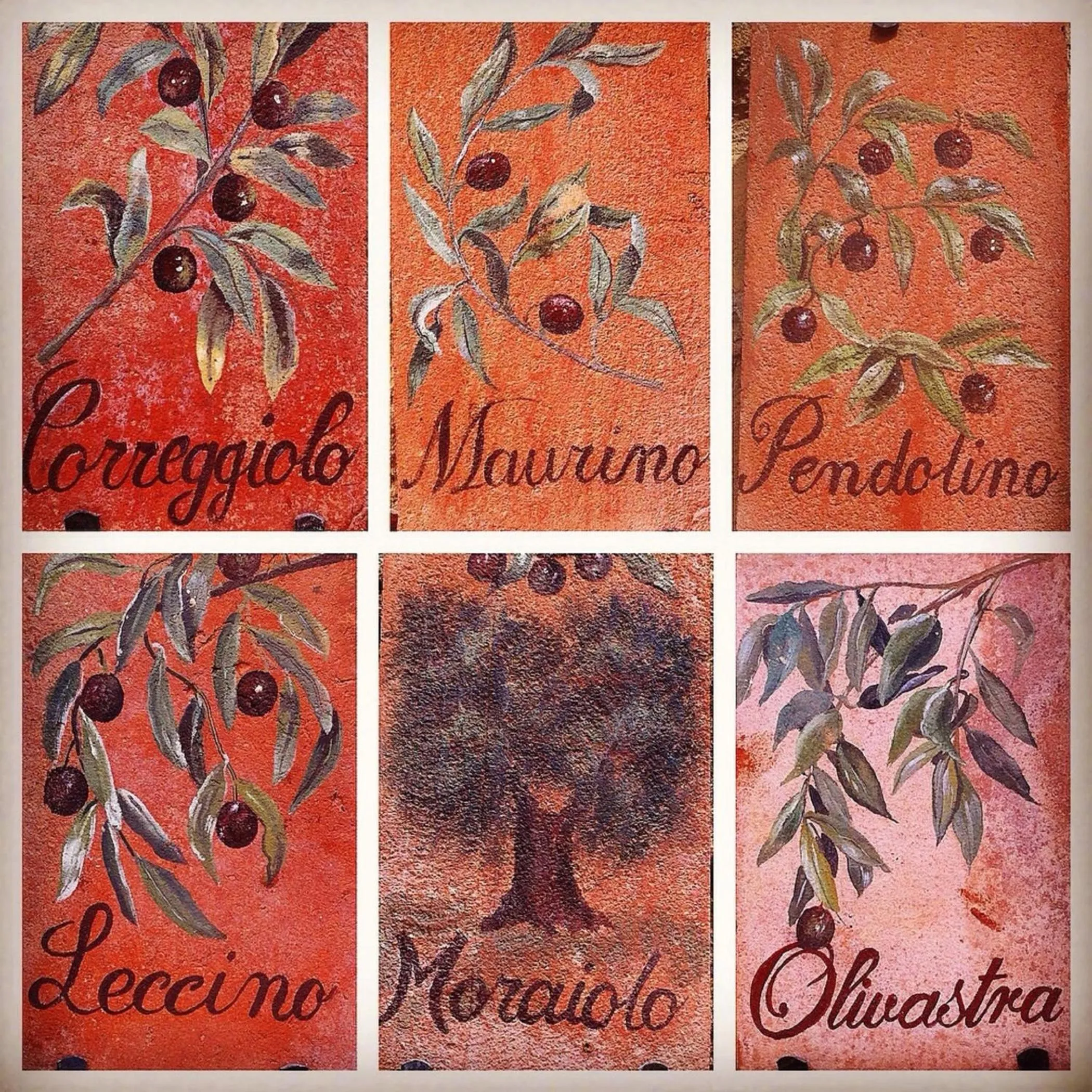 Logo/Certificate/Sign in Borgo Sant'Ambrogio - Resort