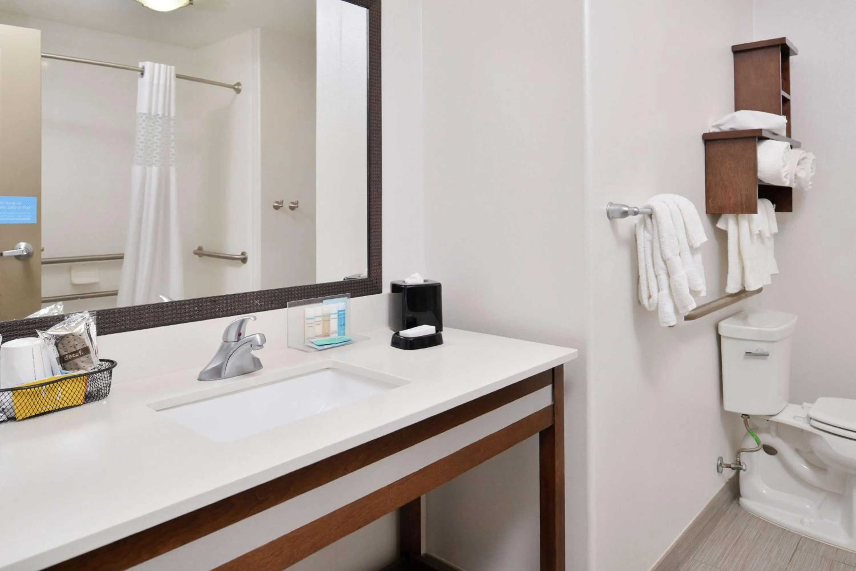 Bathroom in Hampton Inn and Suites Hutto