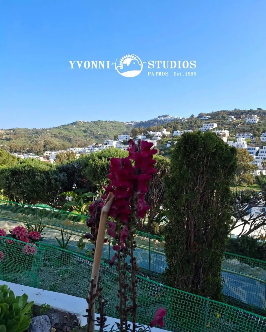 Natural landscape in Yvonni Studios