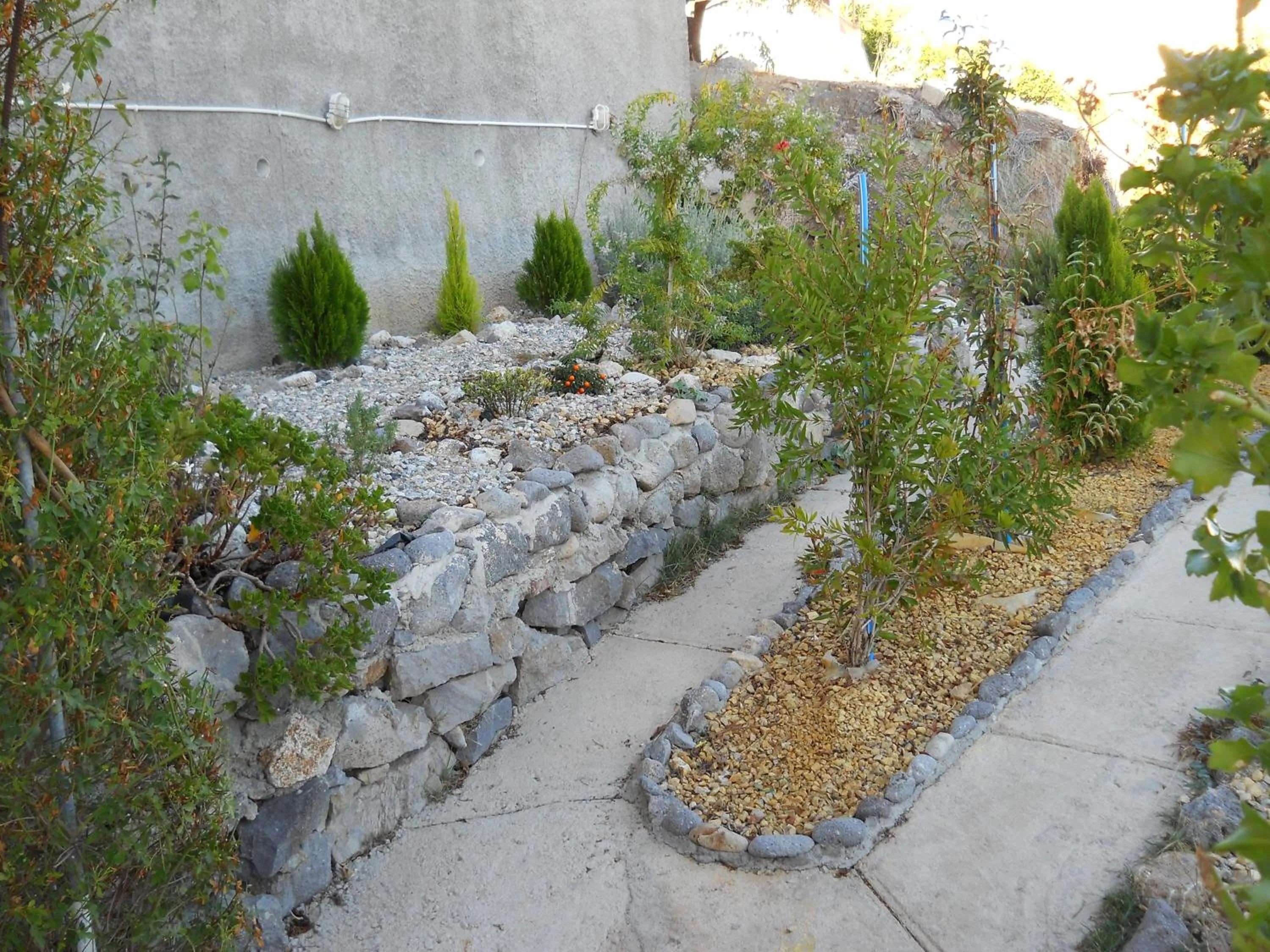 Patio in Yvonni Studios