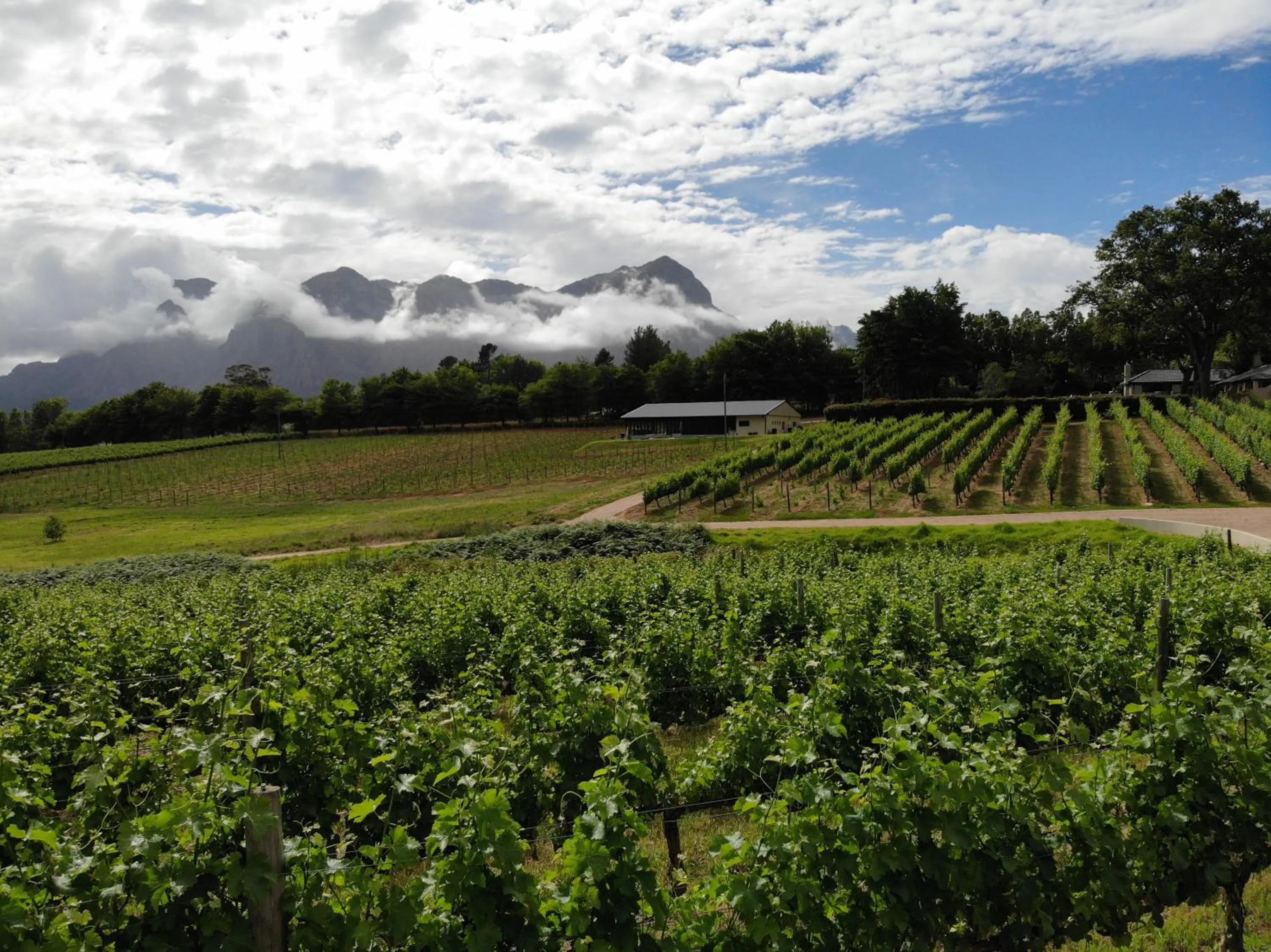 Landmark view in Le Pommier Wine Estate