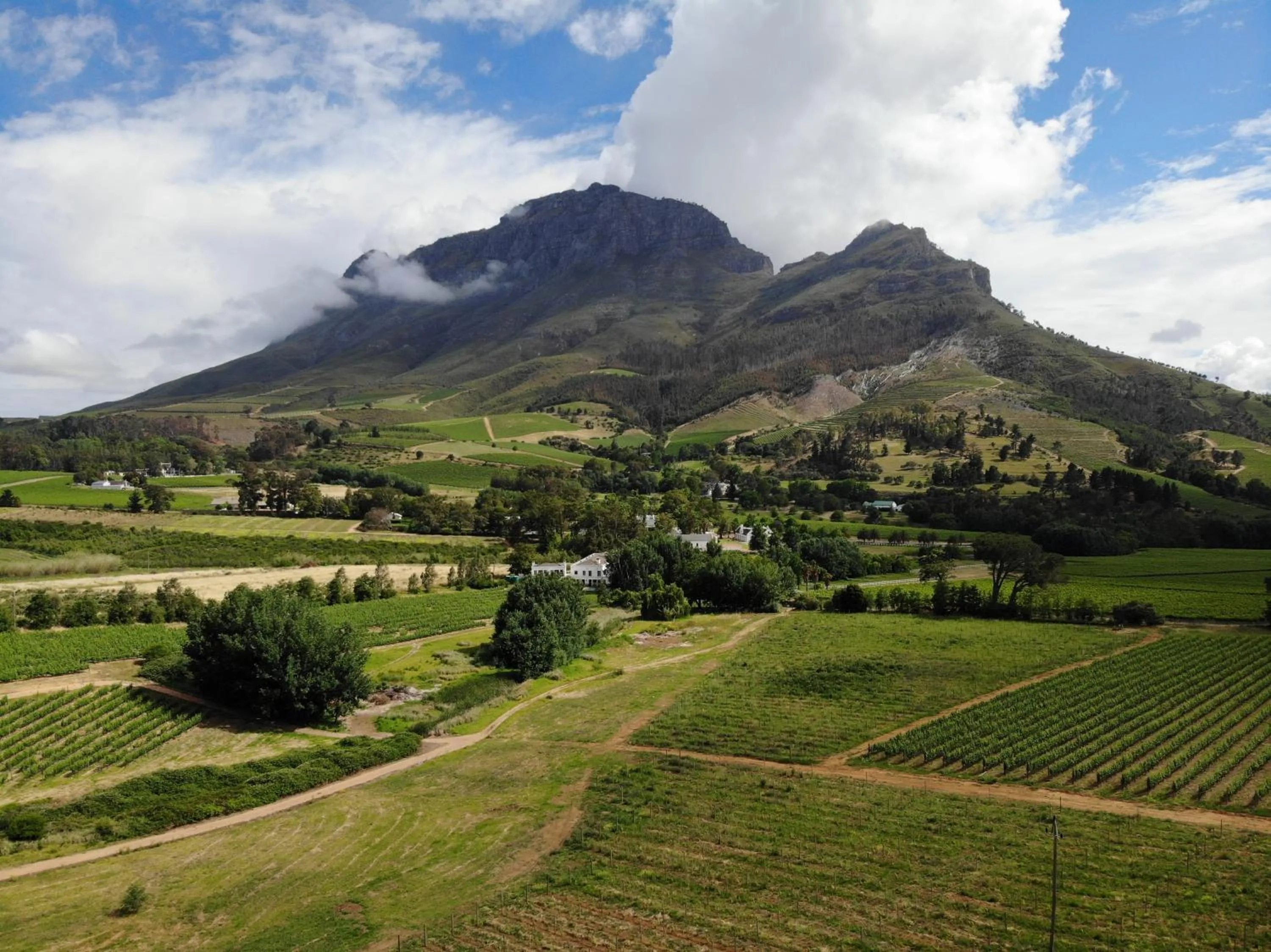 View (from property/room) in Le Pommier Wine Estate