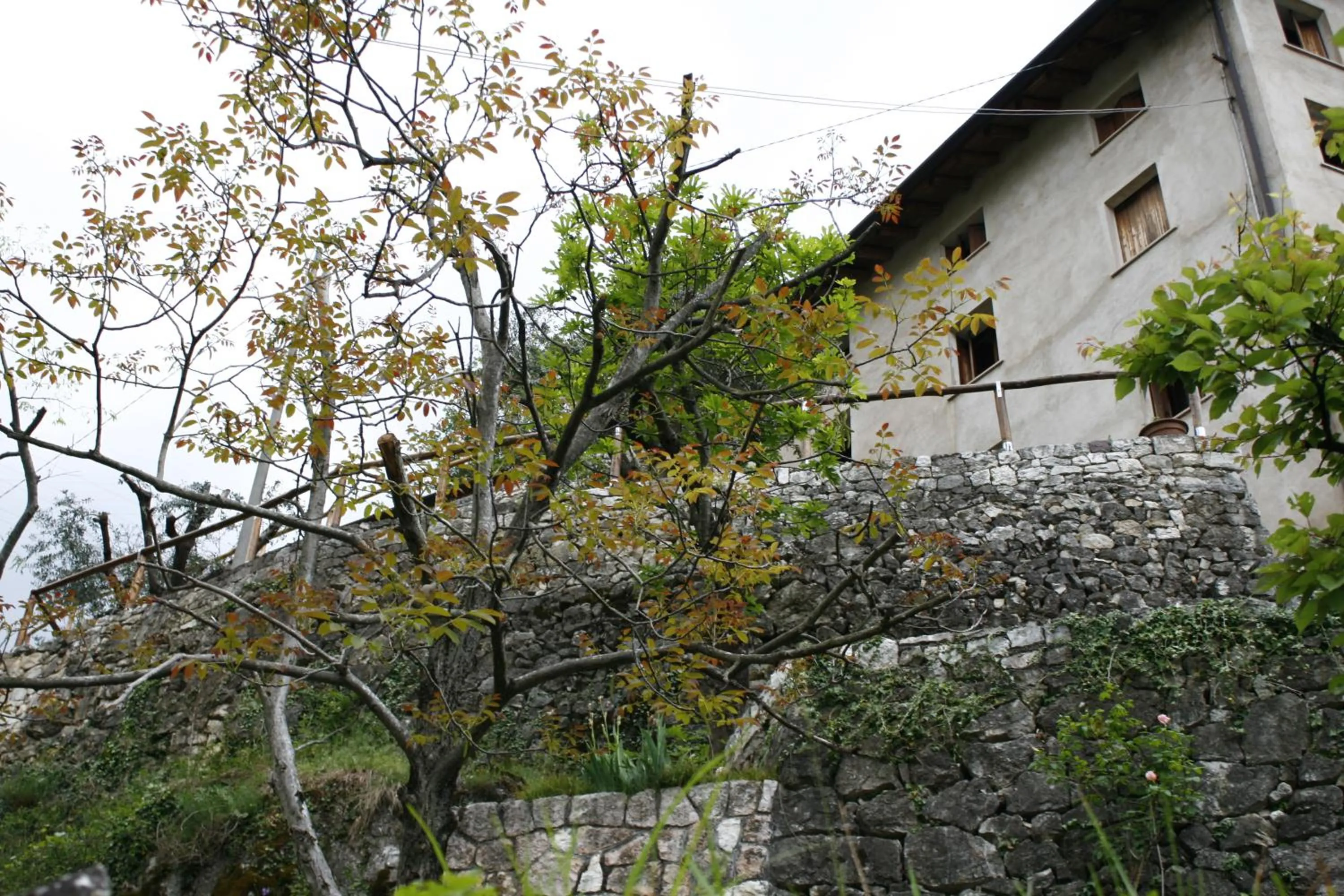 Facade/entrance in B&B Allo Spizzo