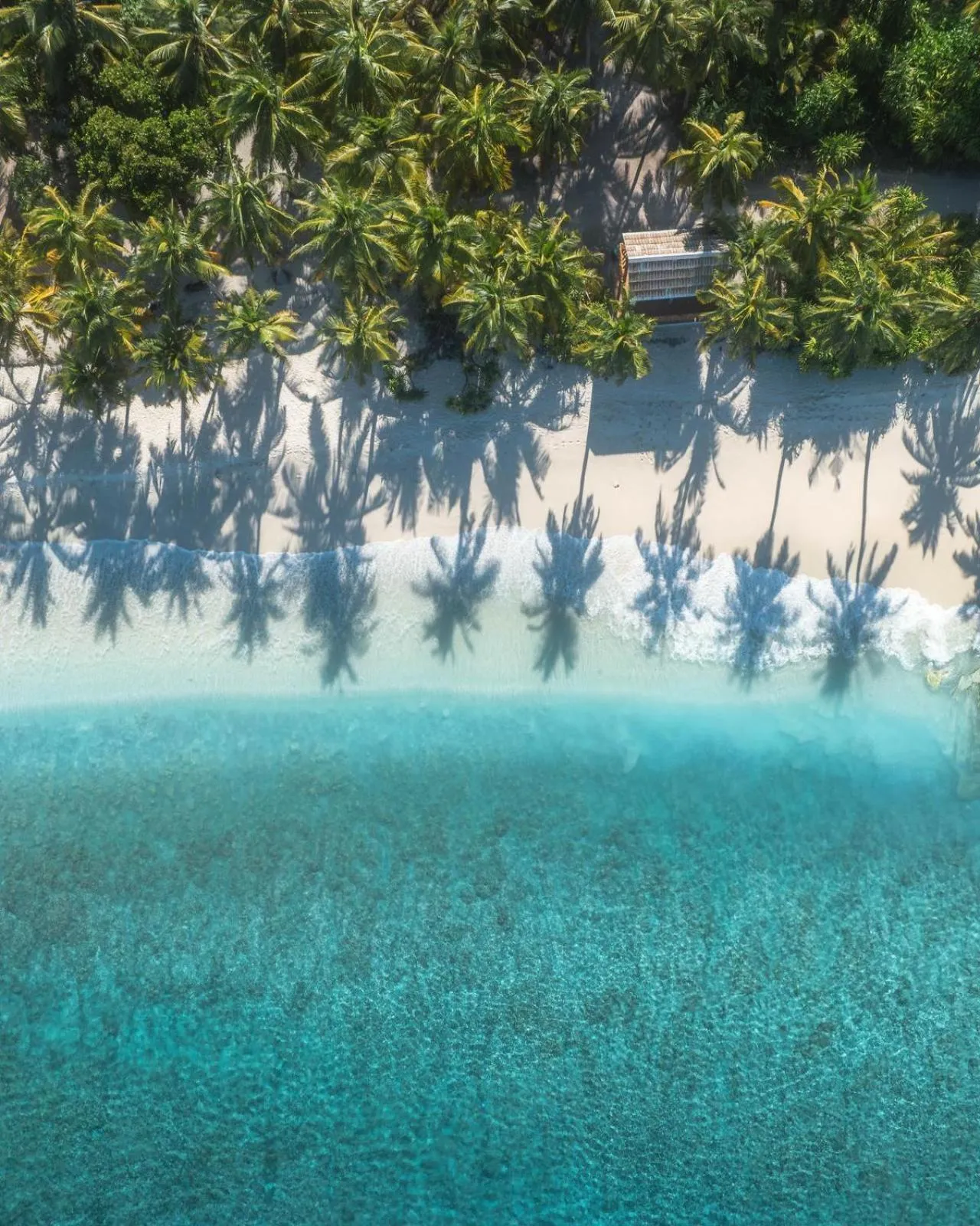 Natural landscape in Ocean Pearl Family Suite