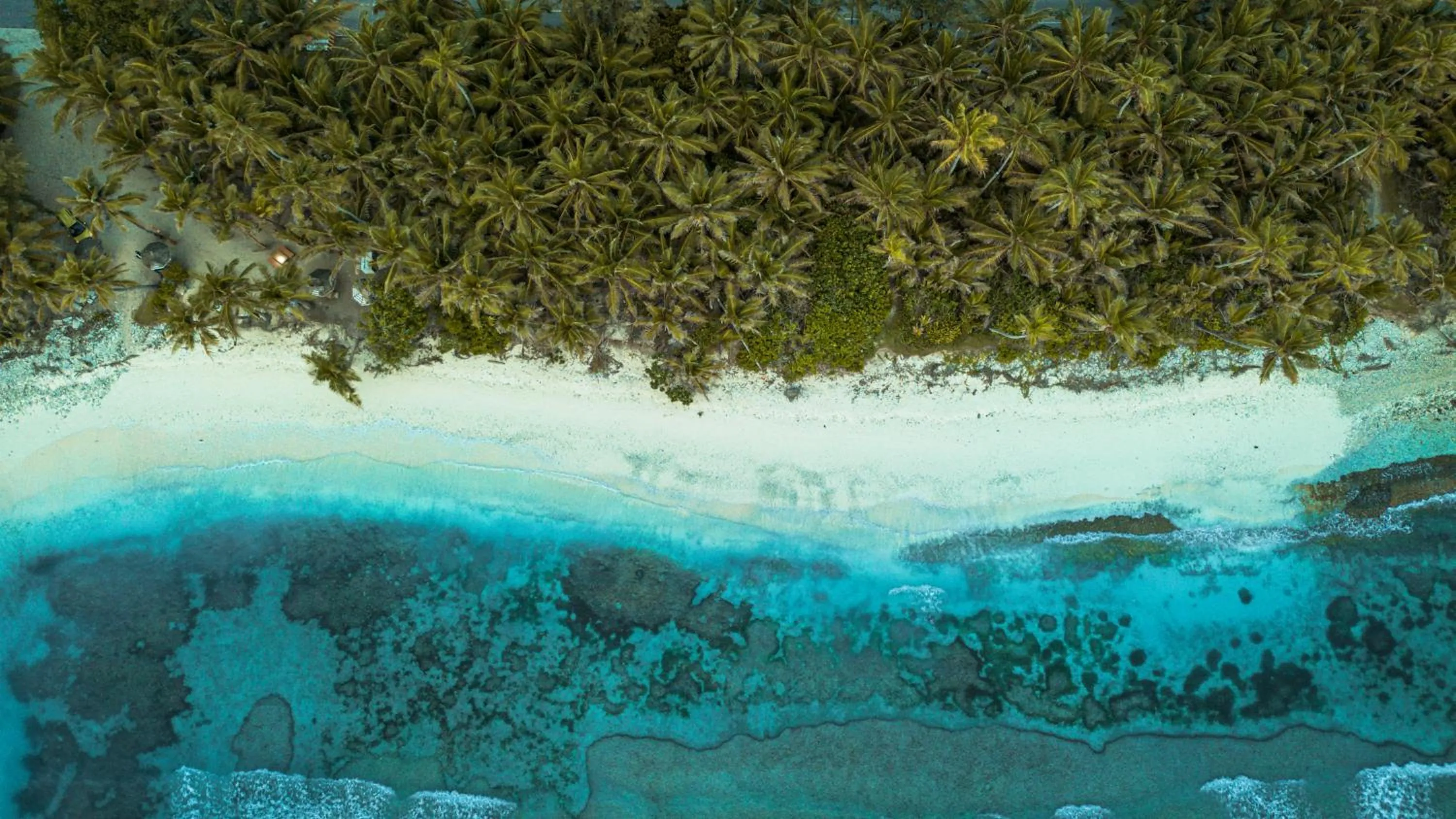 Natural landscape in Ocean Pearl Family Suite