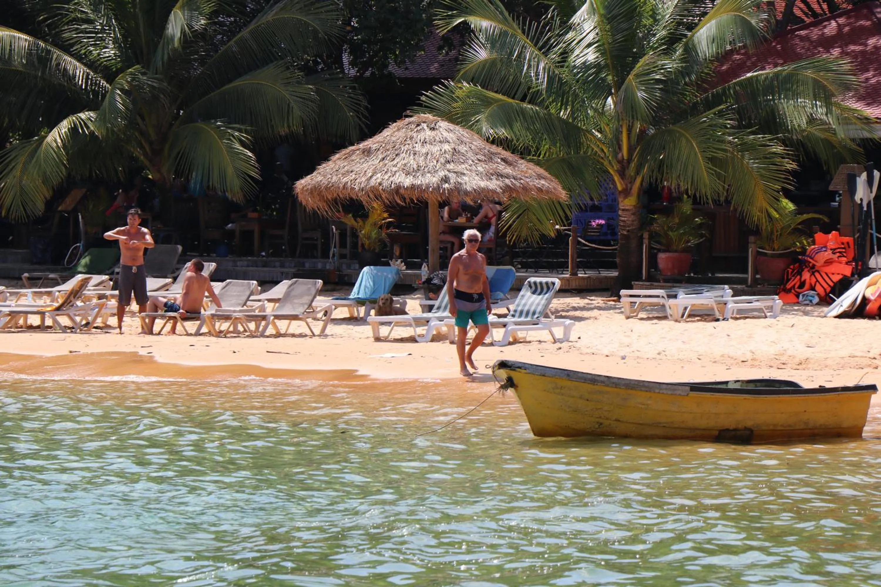 Beach in Tree House Bungalows
