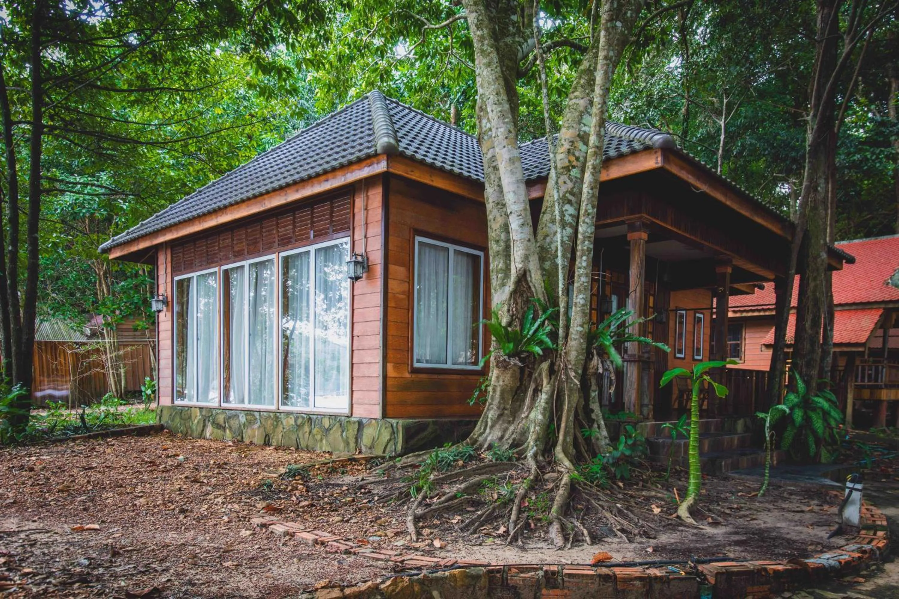 Tree House Bungalows