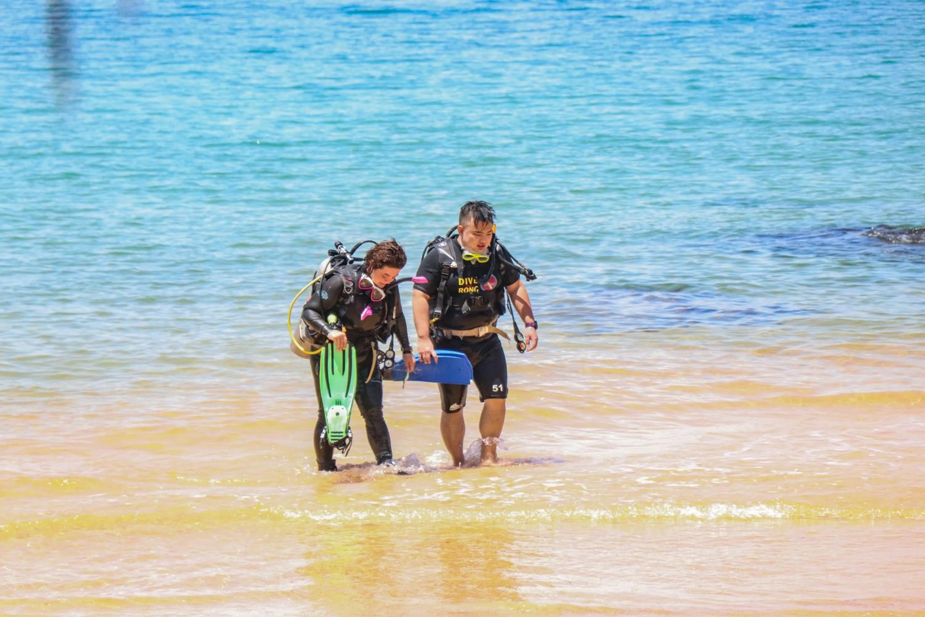 Tree House Bungalows