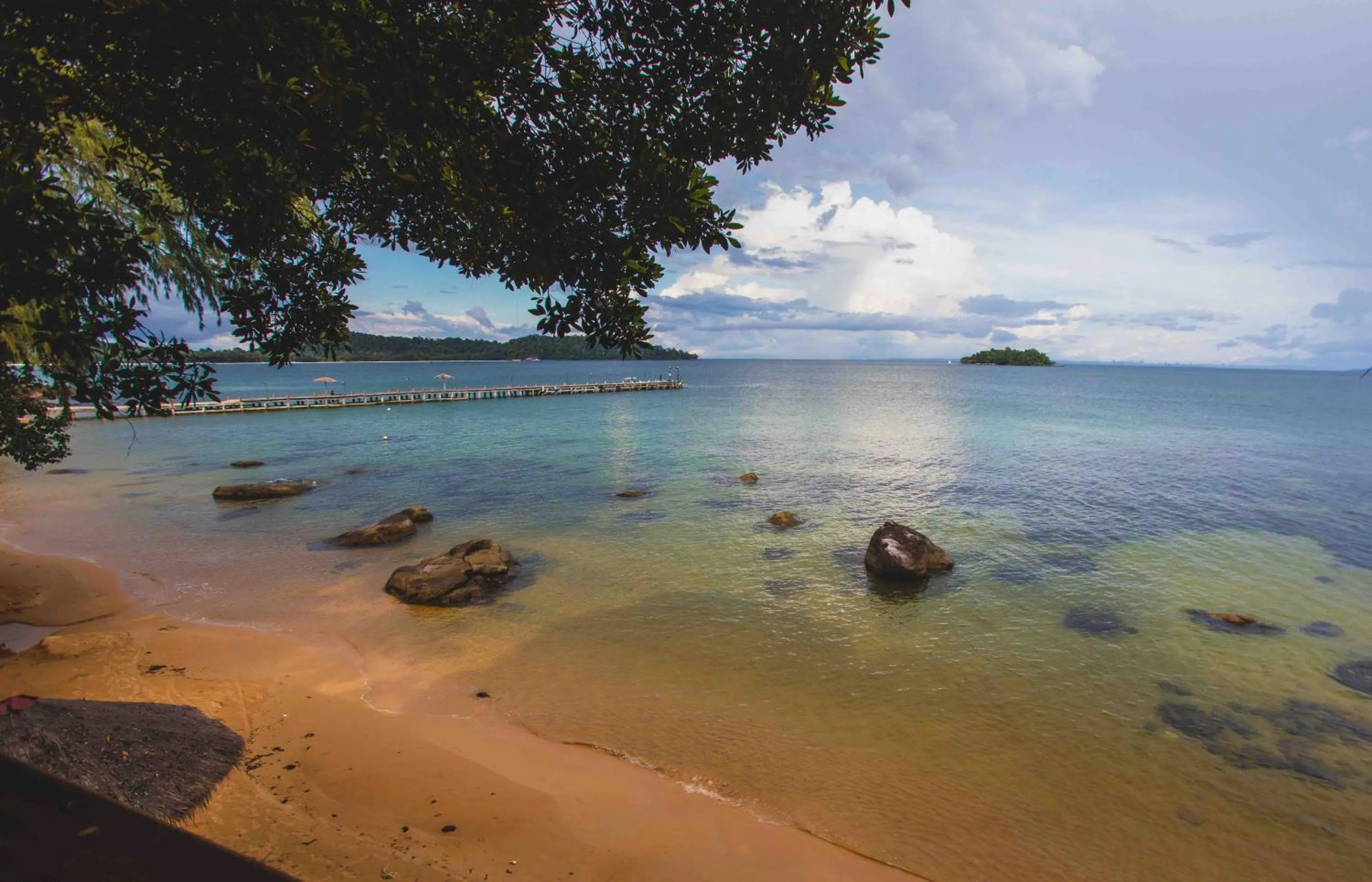 Tree House Bungalows