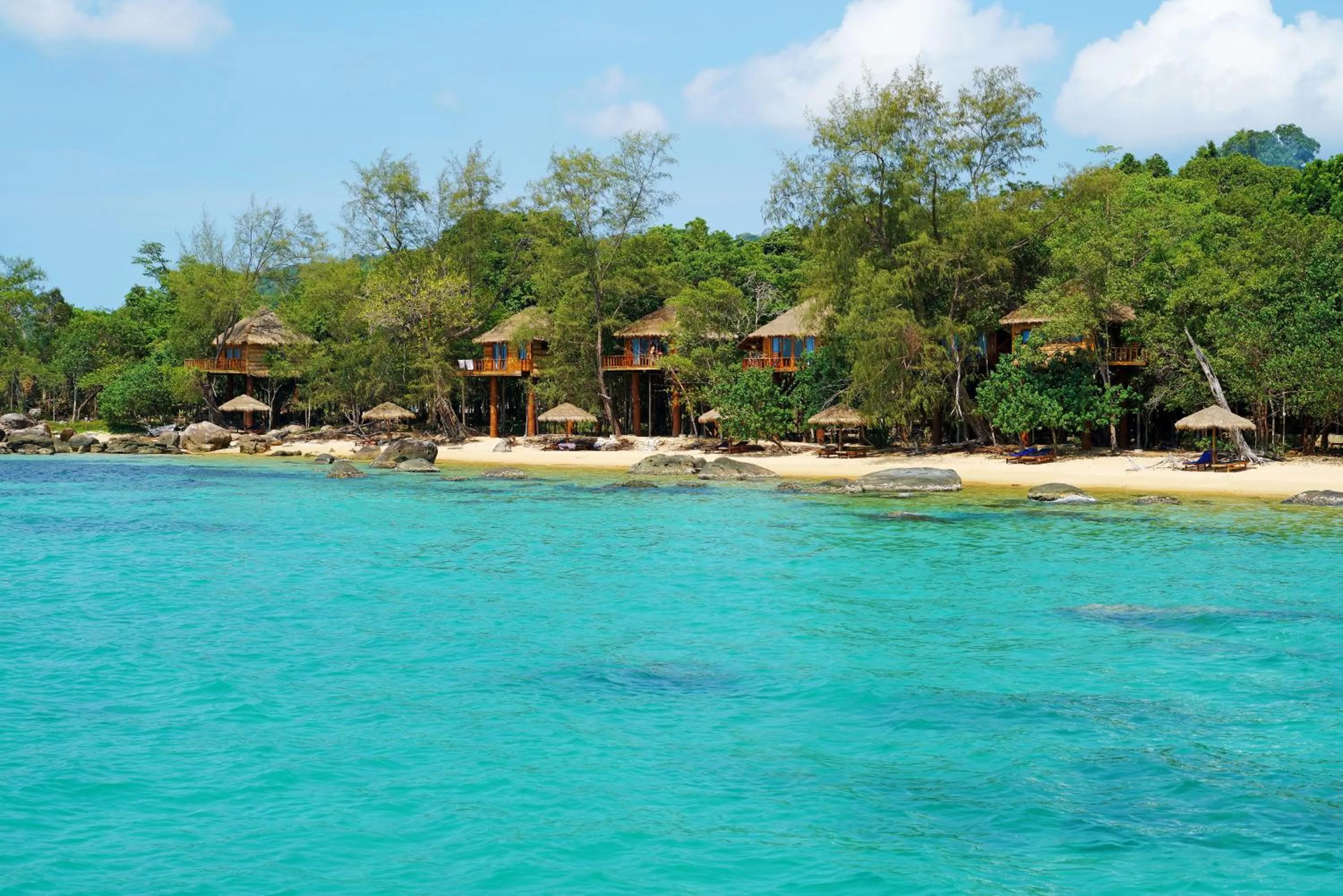 Beach in Tree House Bungalows