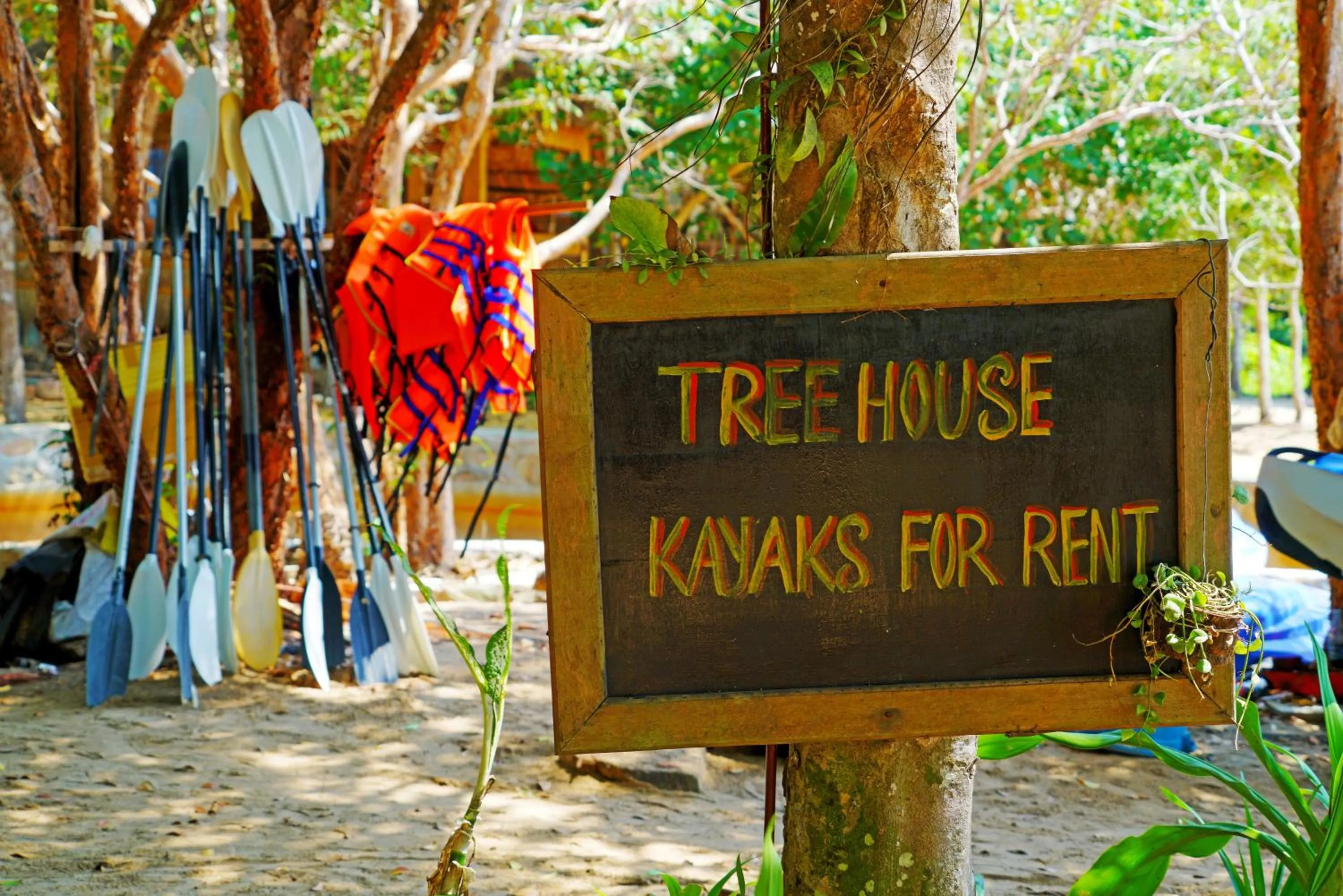 Diving in Tree House Bungalows