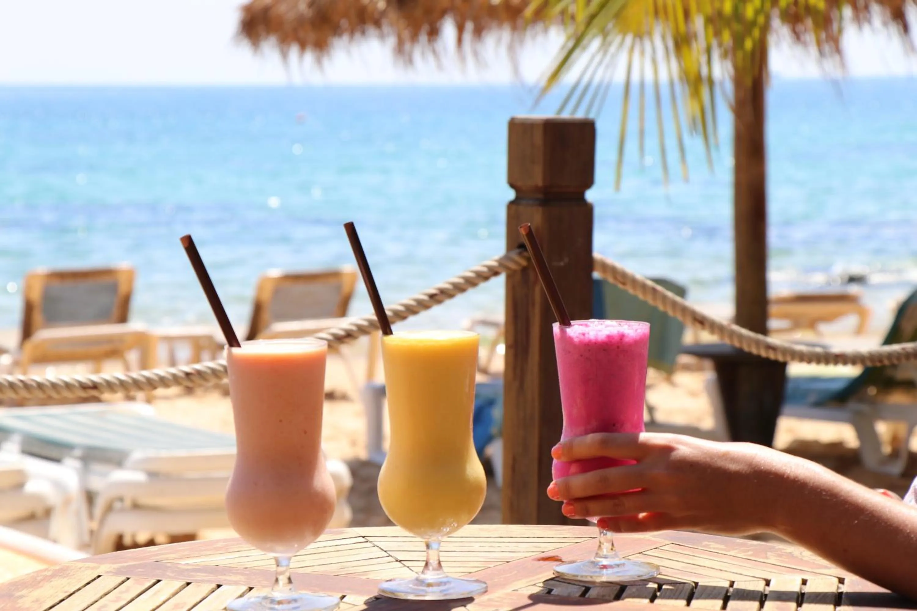 Sea view in Tree House Bungalows