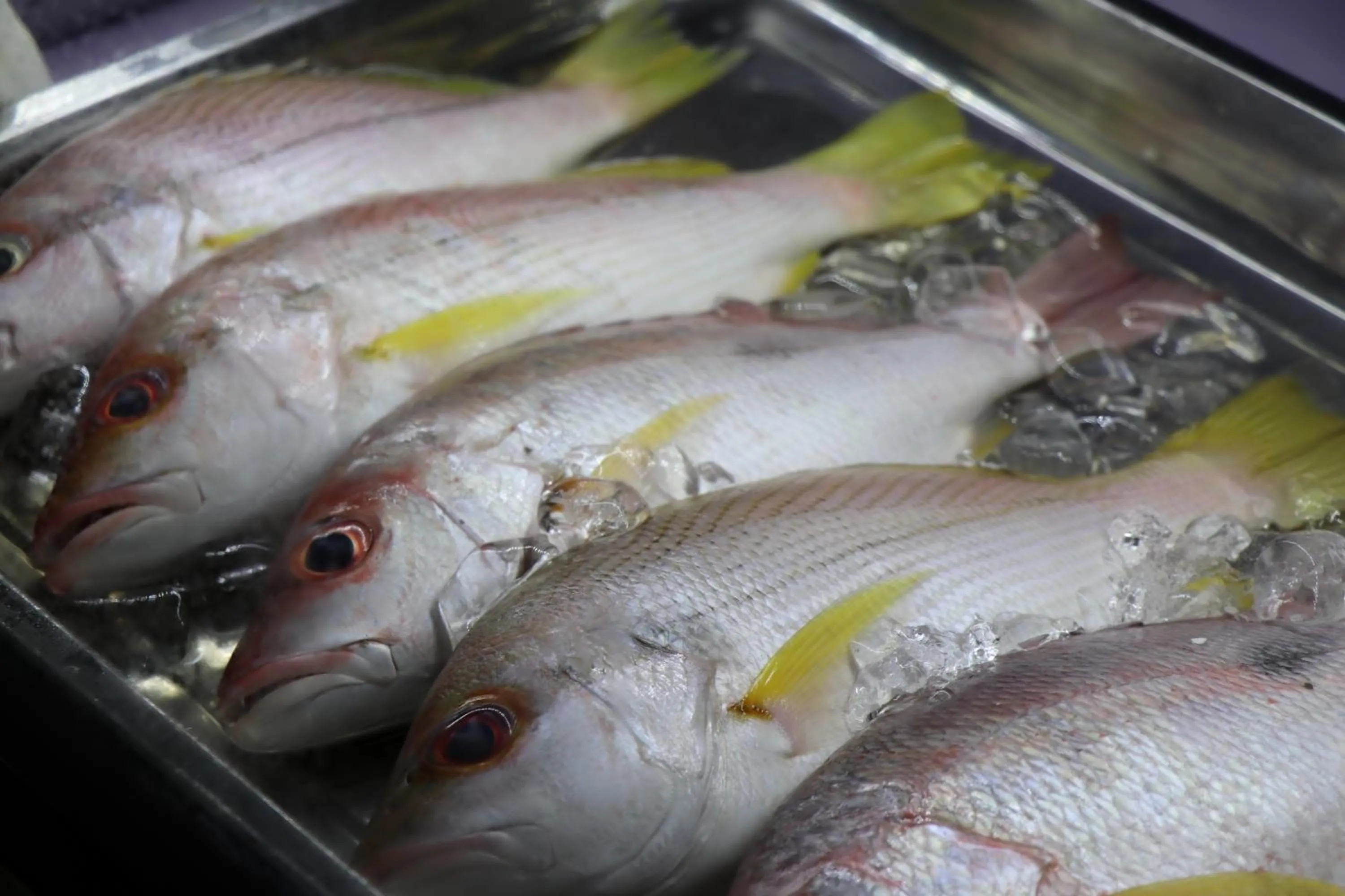 BBQ facilities in Tree House Bungalows
