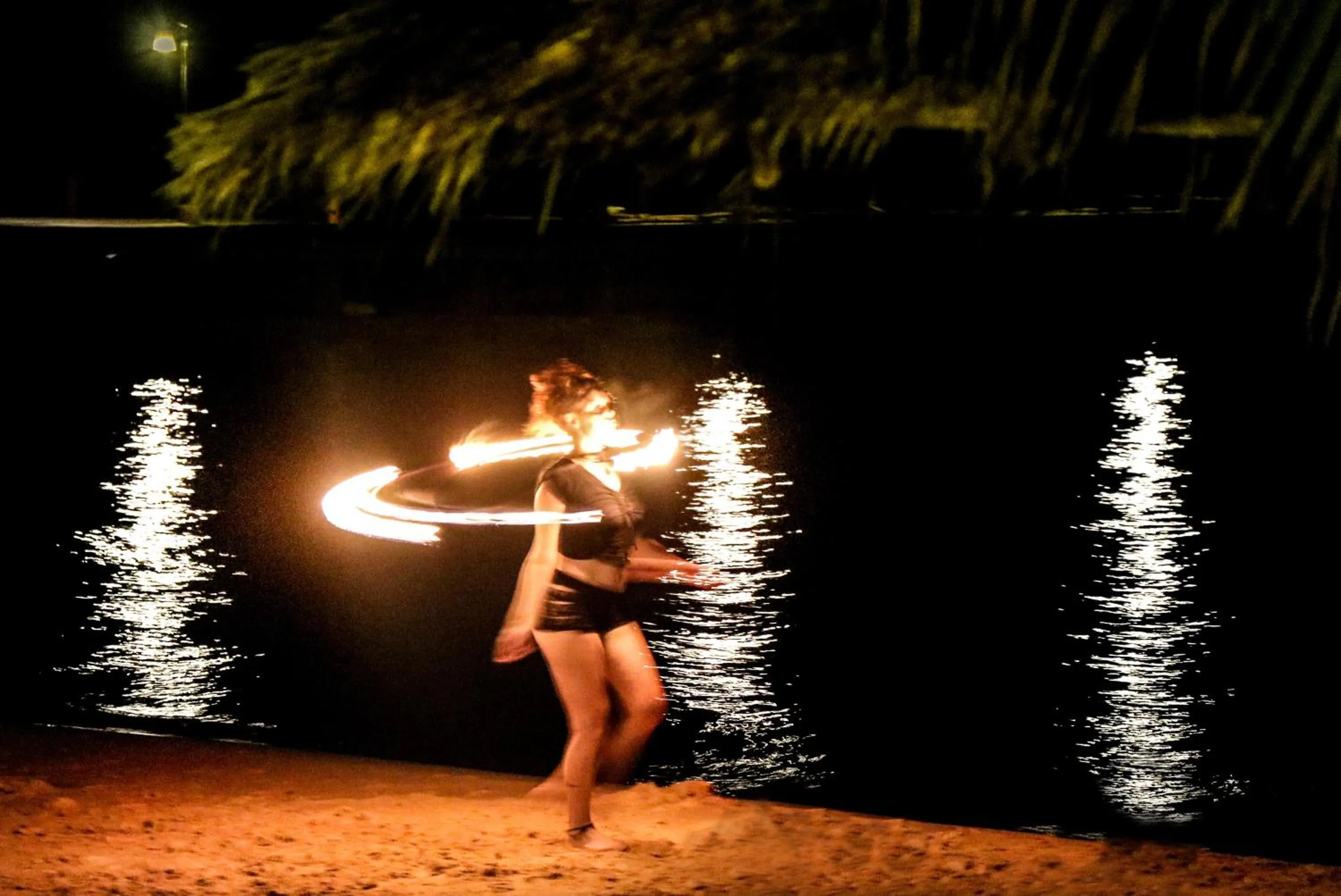 Tree House Bungalows