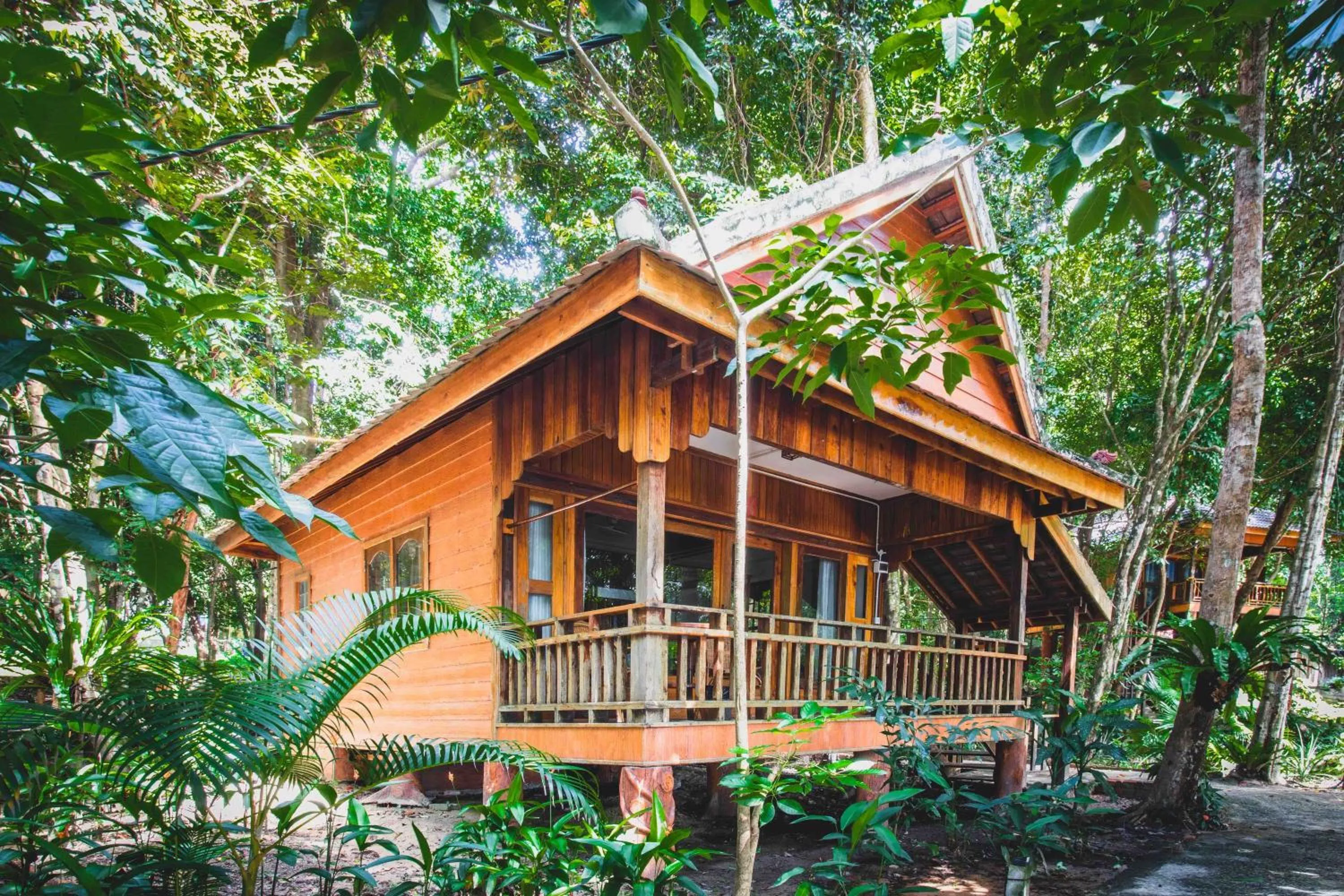 Property building in Tree House Bungalows