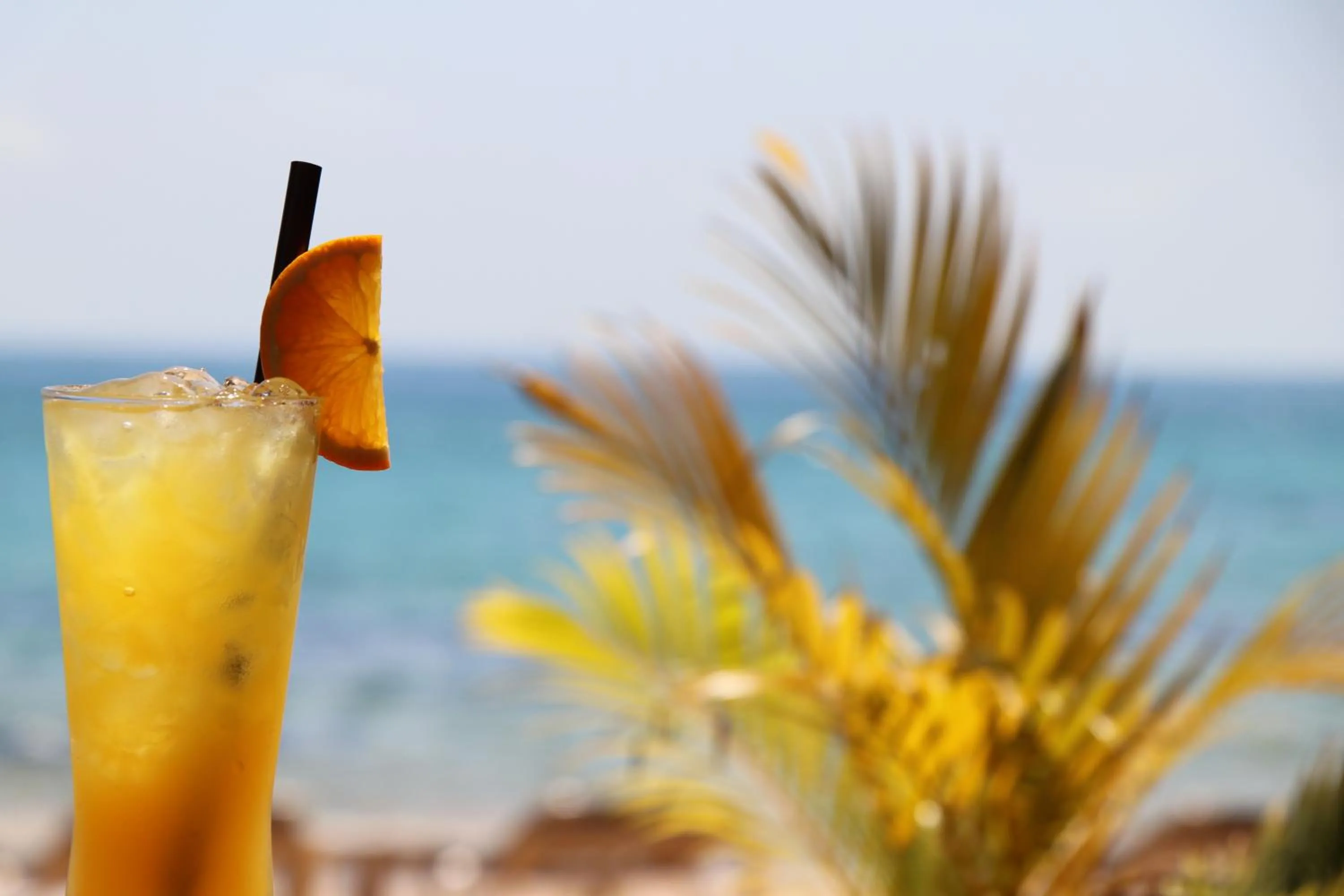 Drinks in Tree House Bungalows