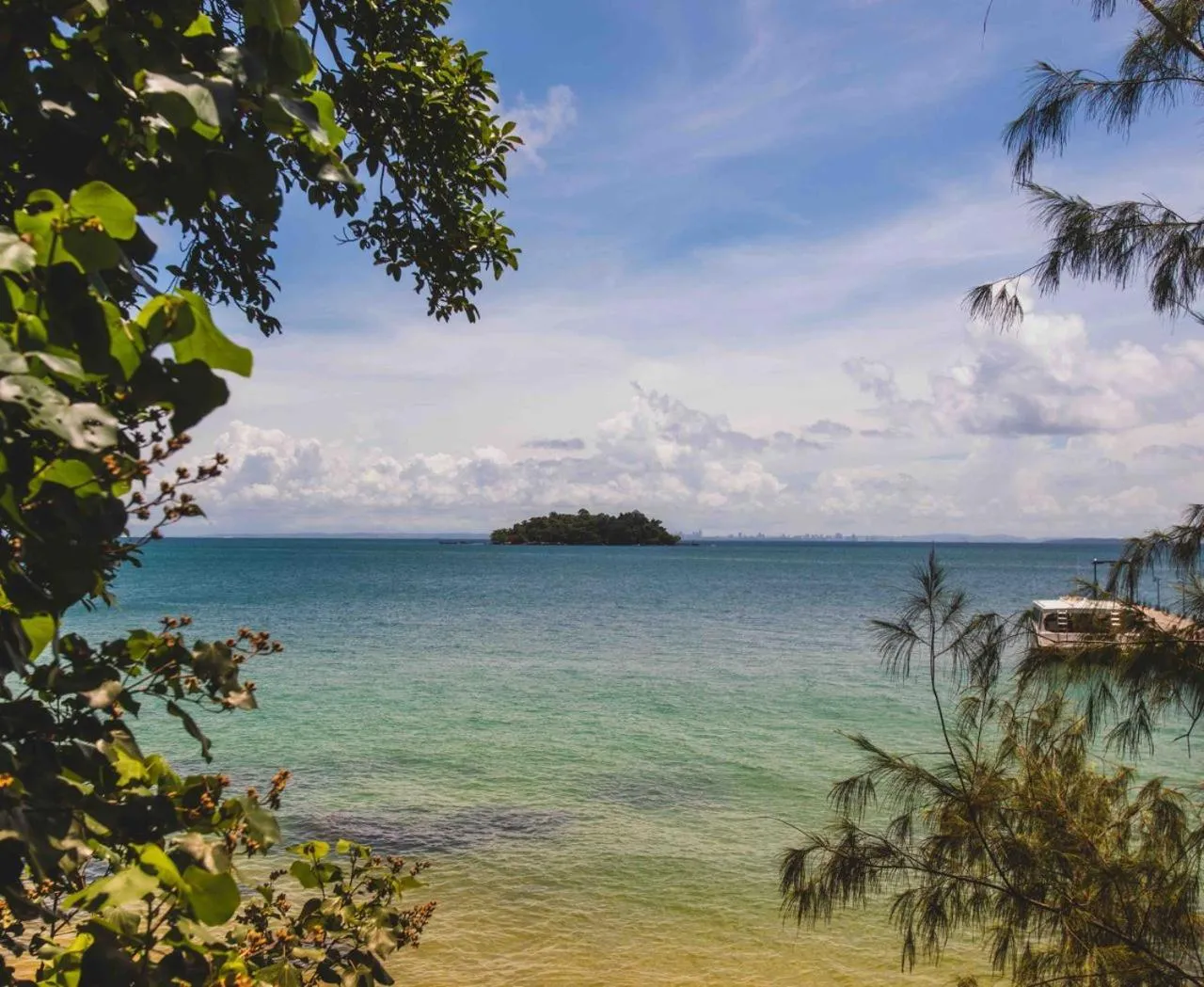Tree House Bungalows