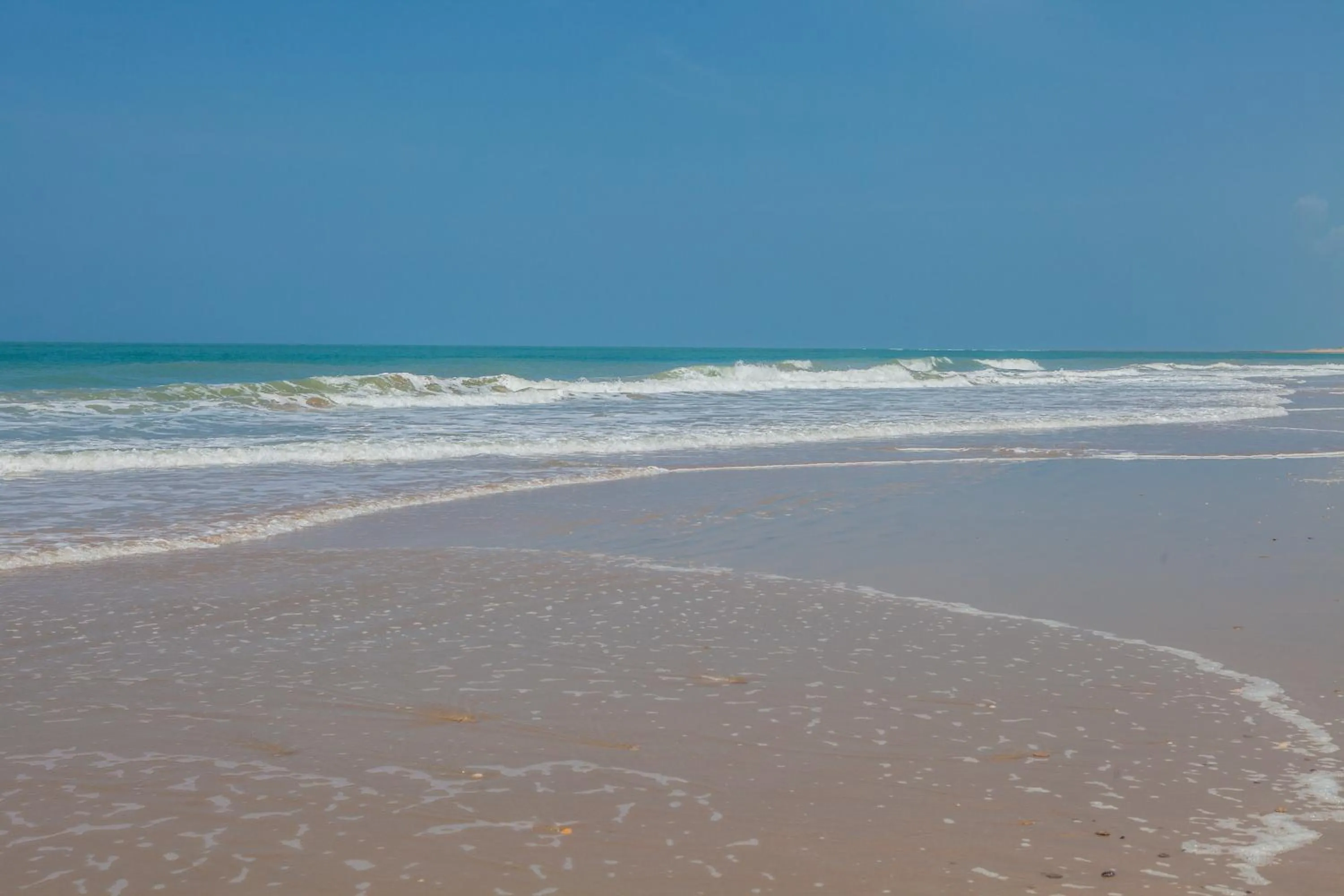 Beach in Estudios Turísticos Bahia Sur