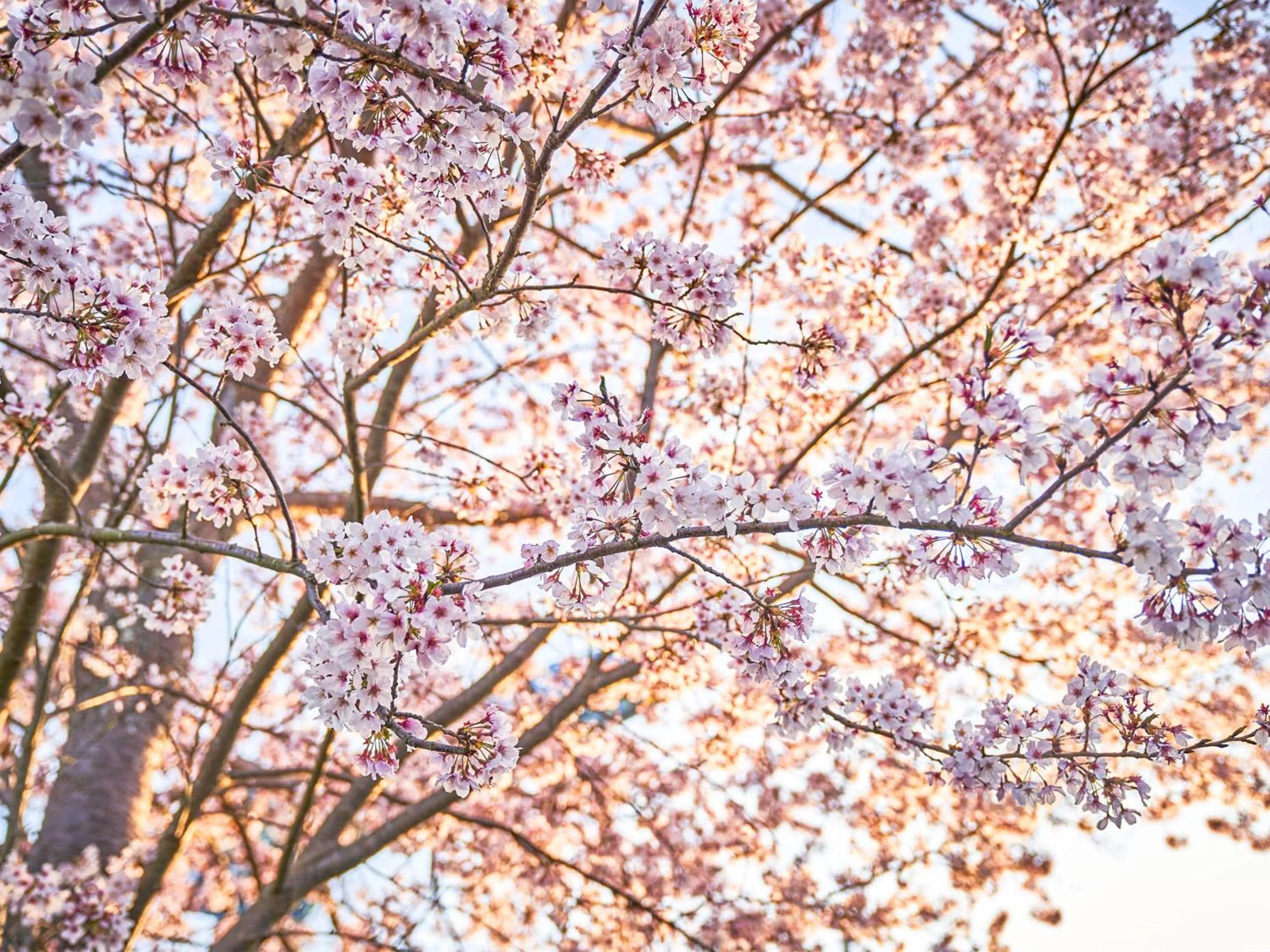 Off site in Kameyama Onsen Hotel