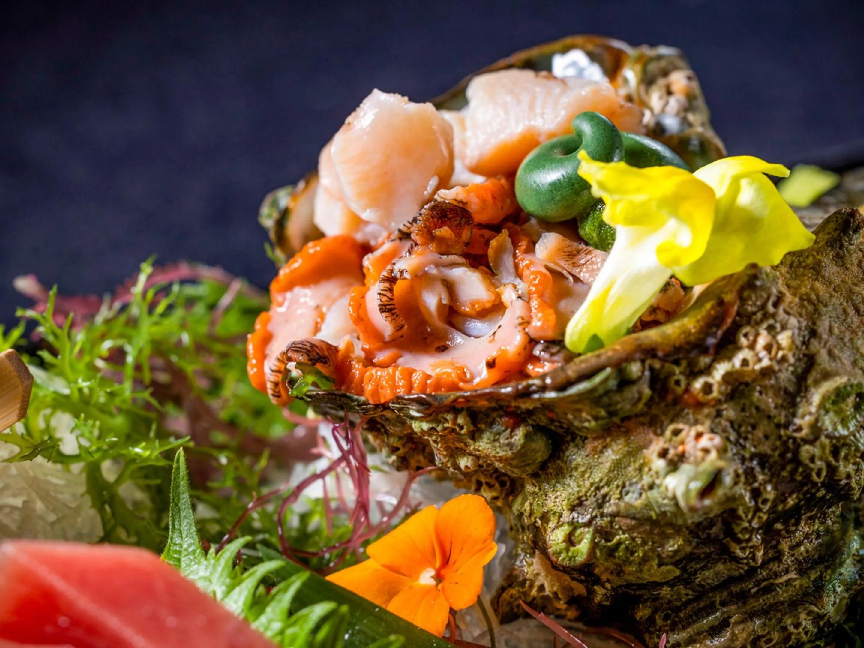 Dinner in Kameyama Onsen Hotel