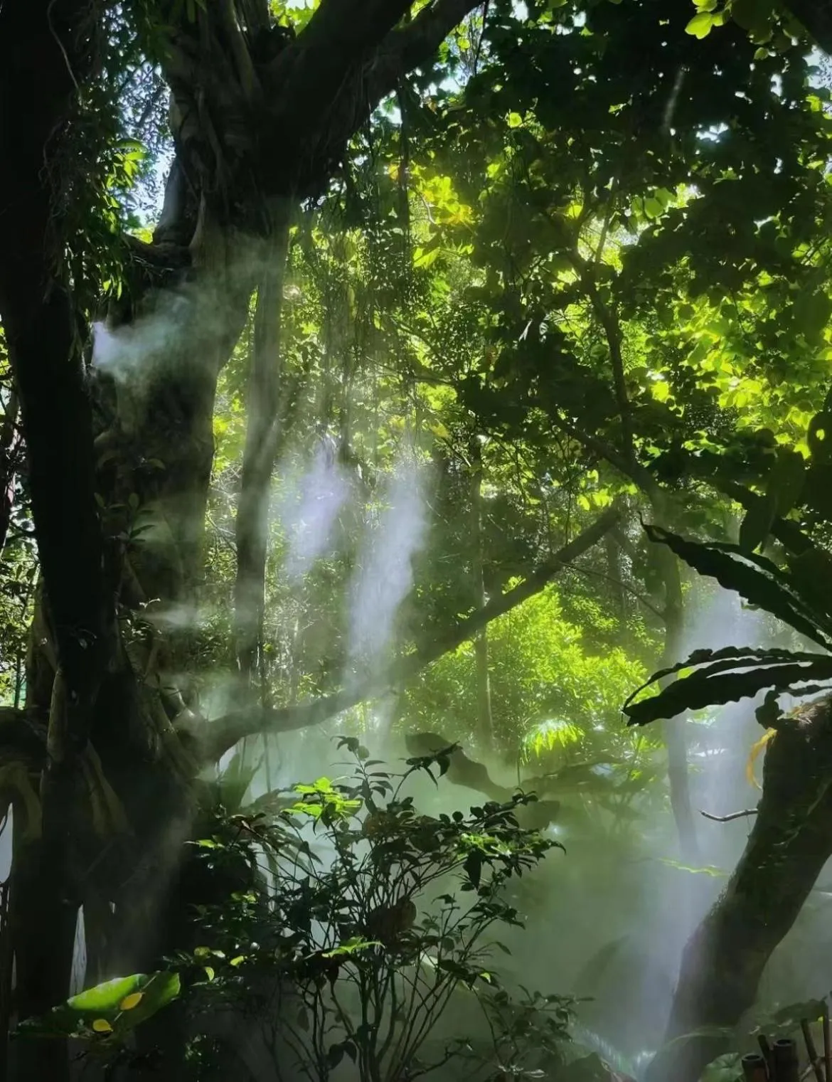 Other in City Hotel Xiamen-Free Welcome Fruits