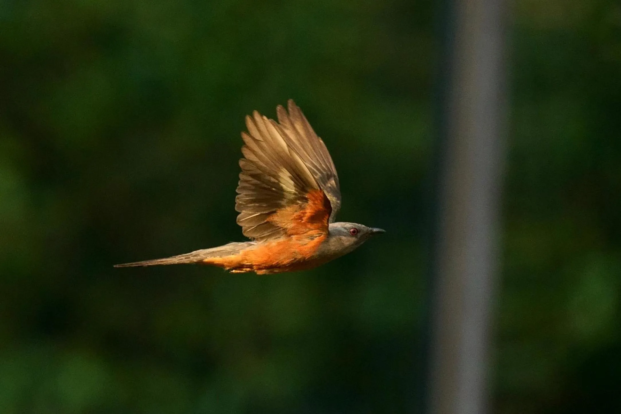 Property building in City Hotel Xiamen-Free Welcome Fruits