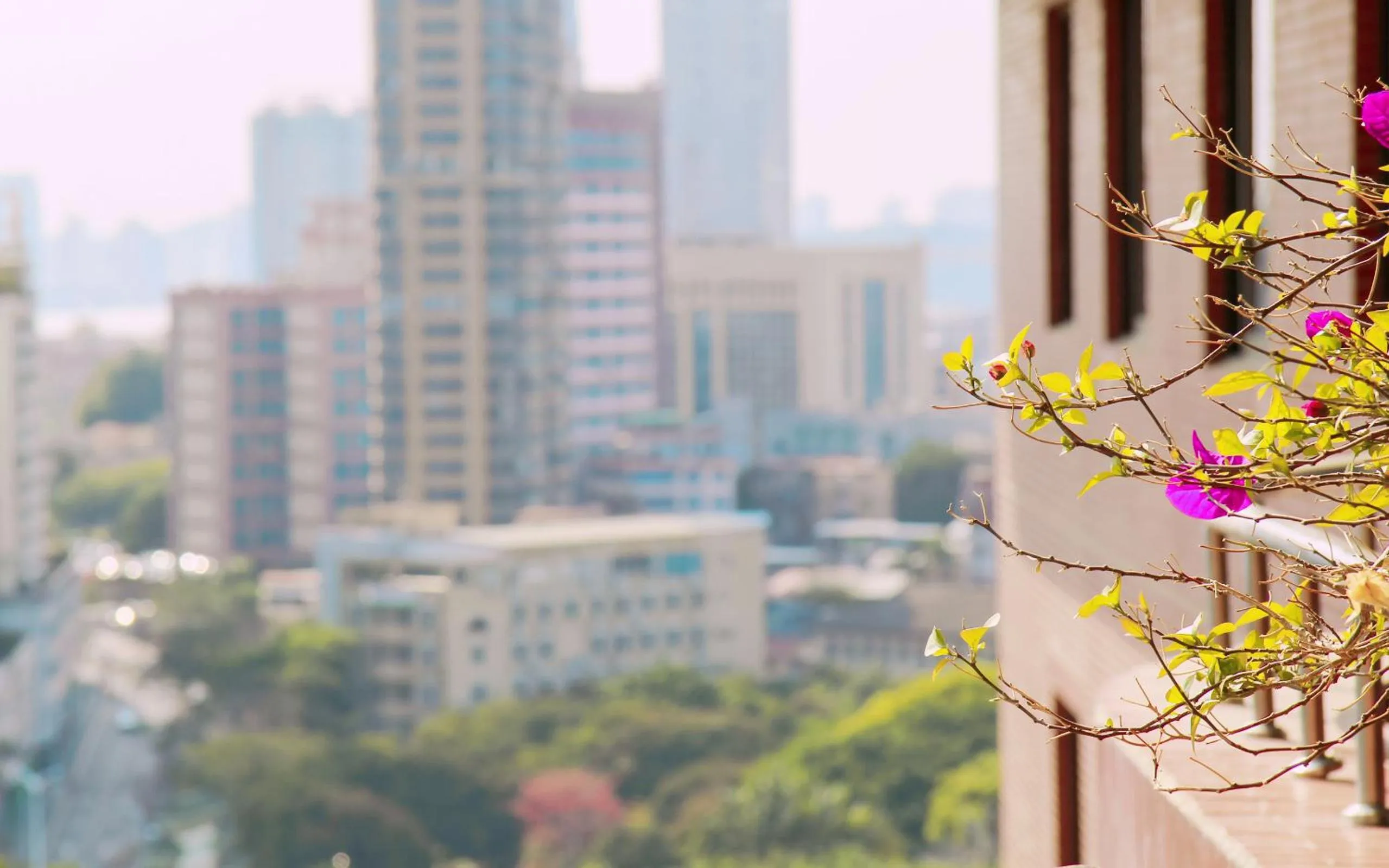 View (from property/room) in City Hotel Xiamen-Free Welcome Fruits