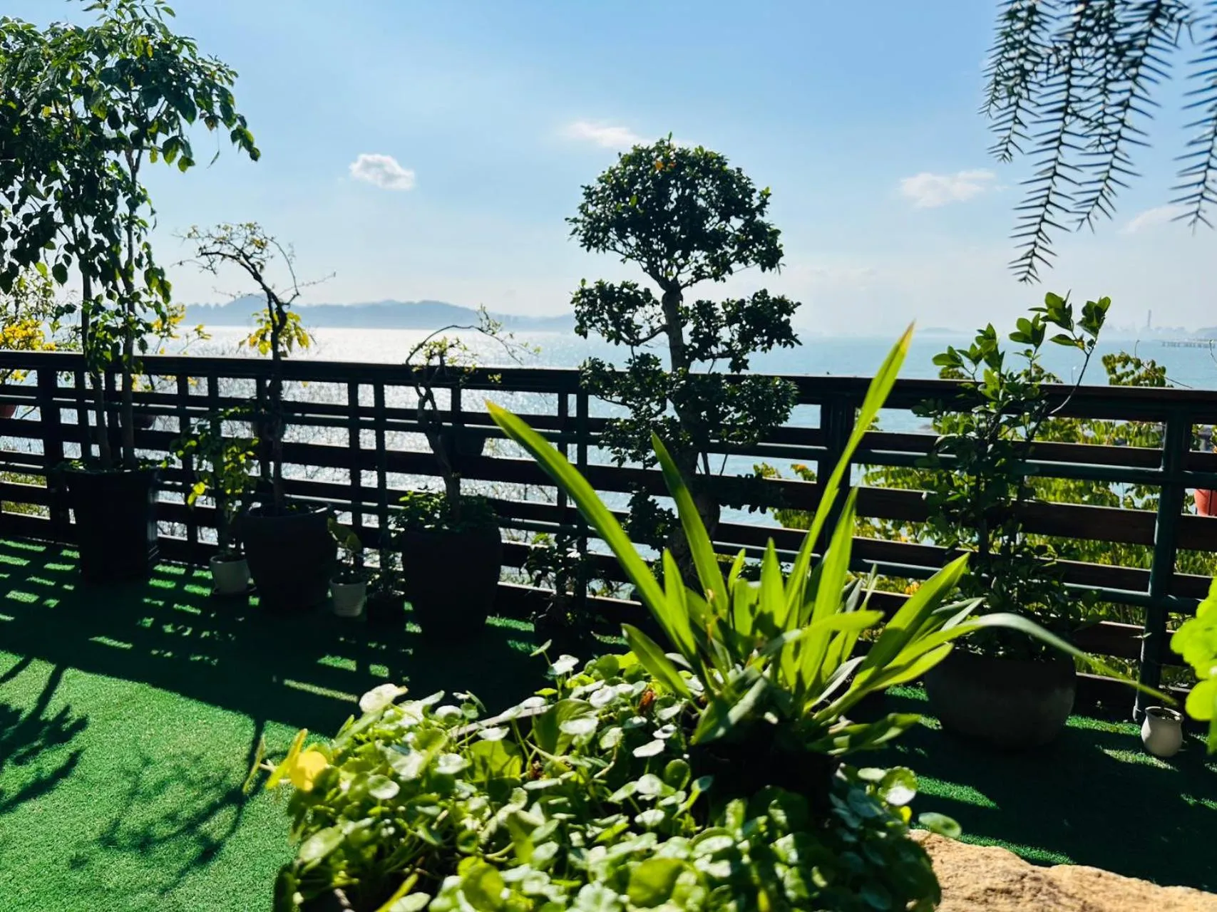 Other in City Hotel Xiamen-Free Welcome Fruits