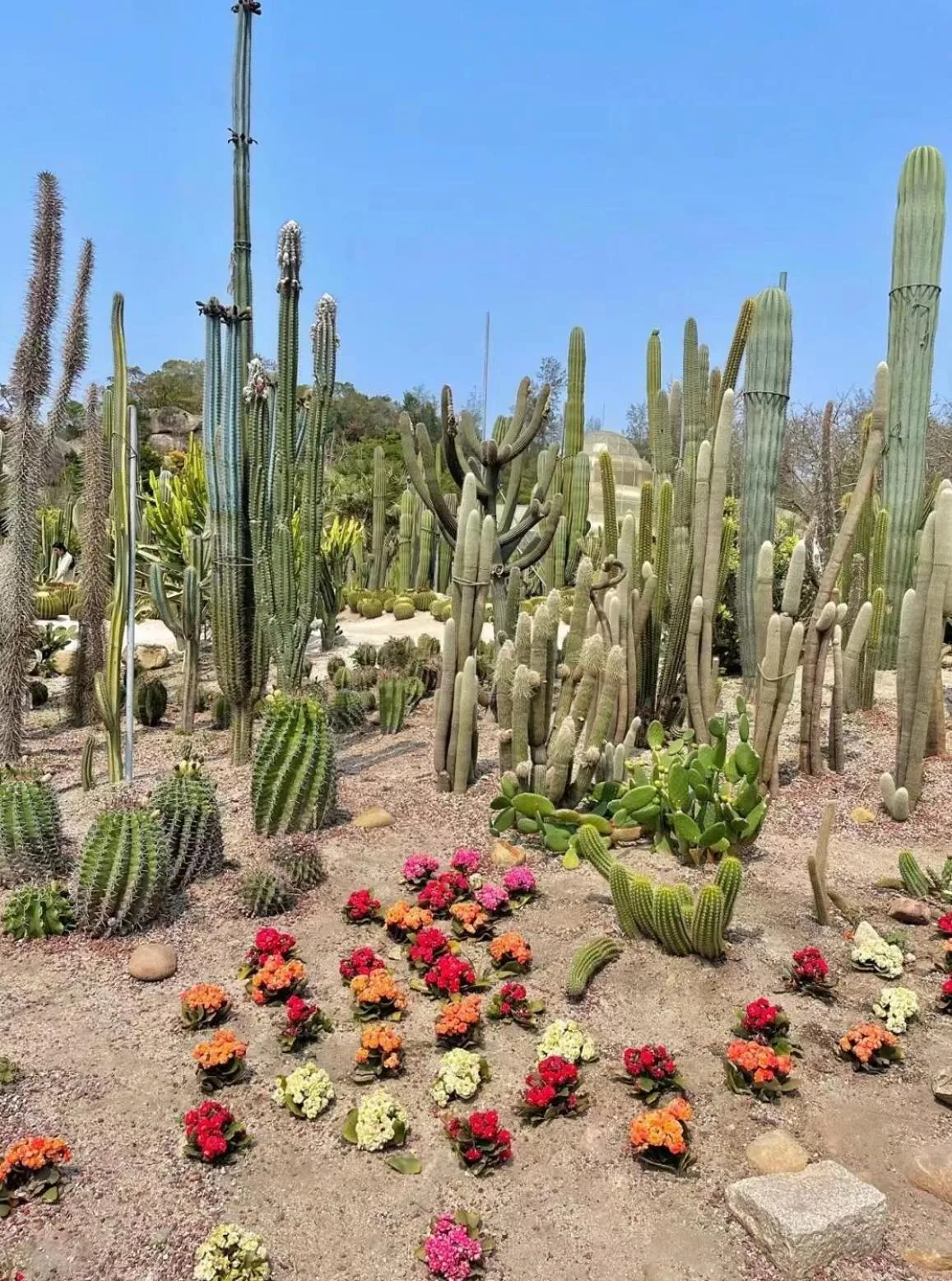 Other in City Hotel Xiamen-Free Welcome Fruits