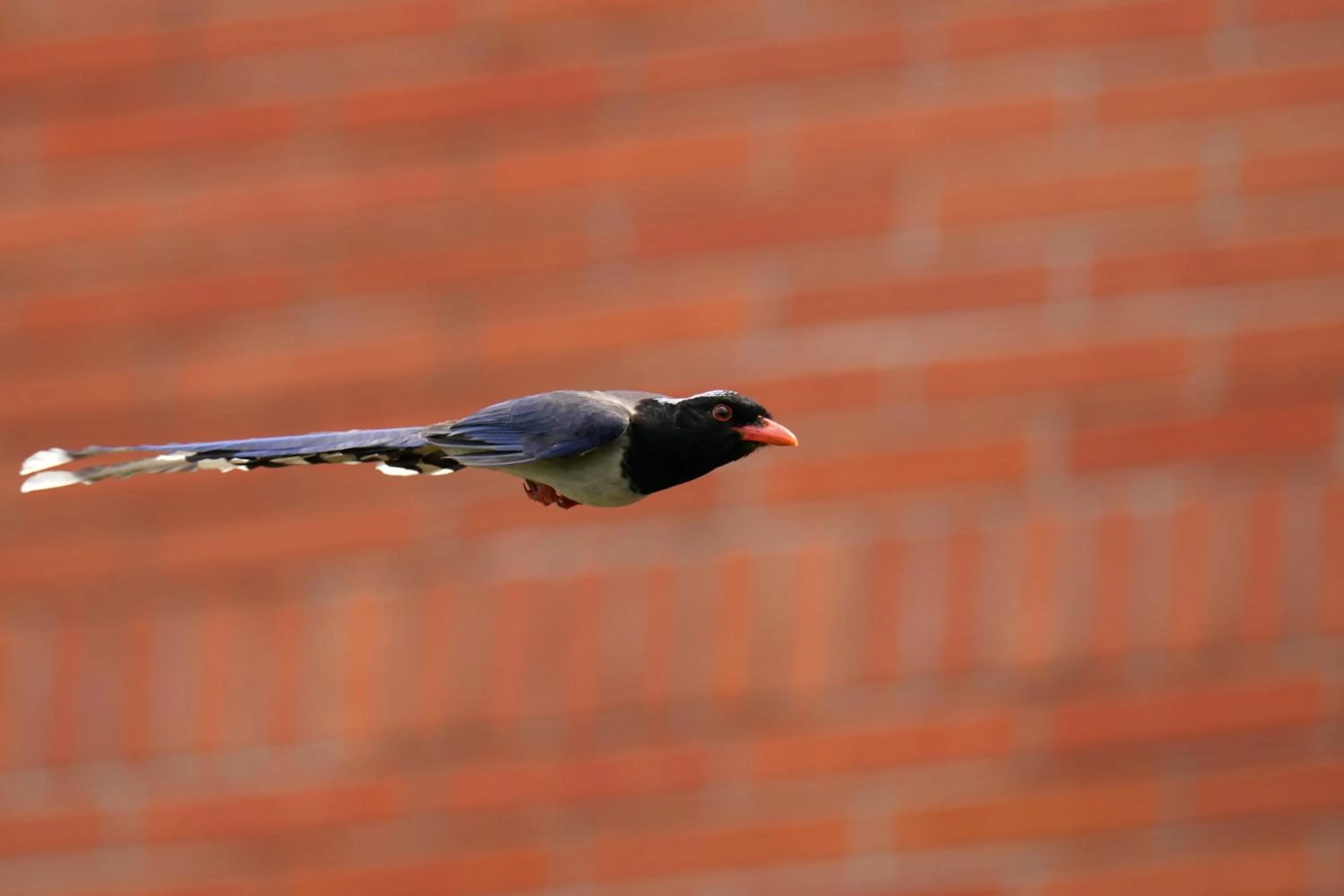 Property building in City Hotel Xiamen-Free Welcome Fruits