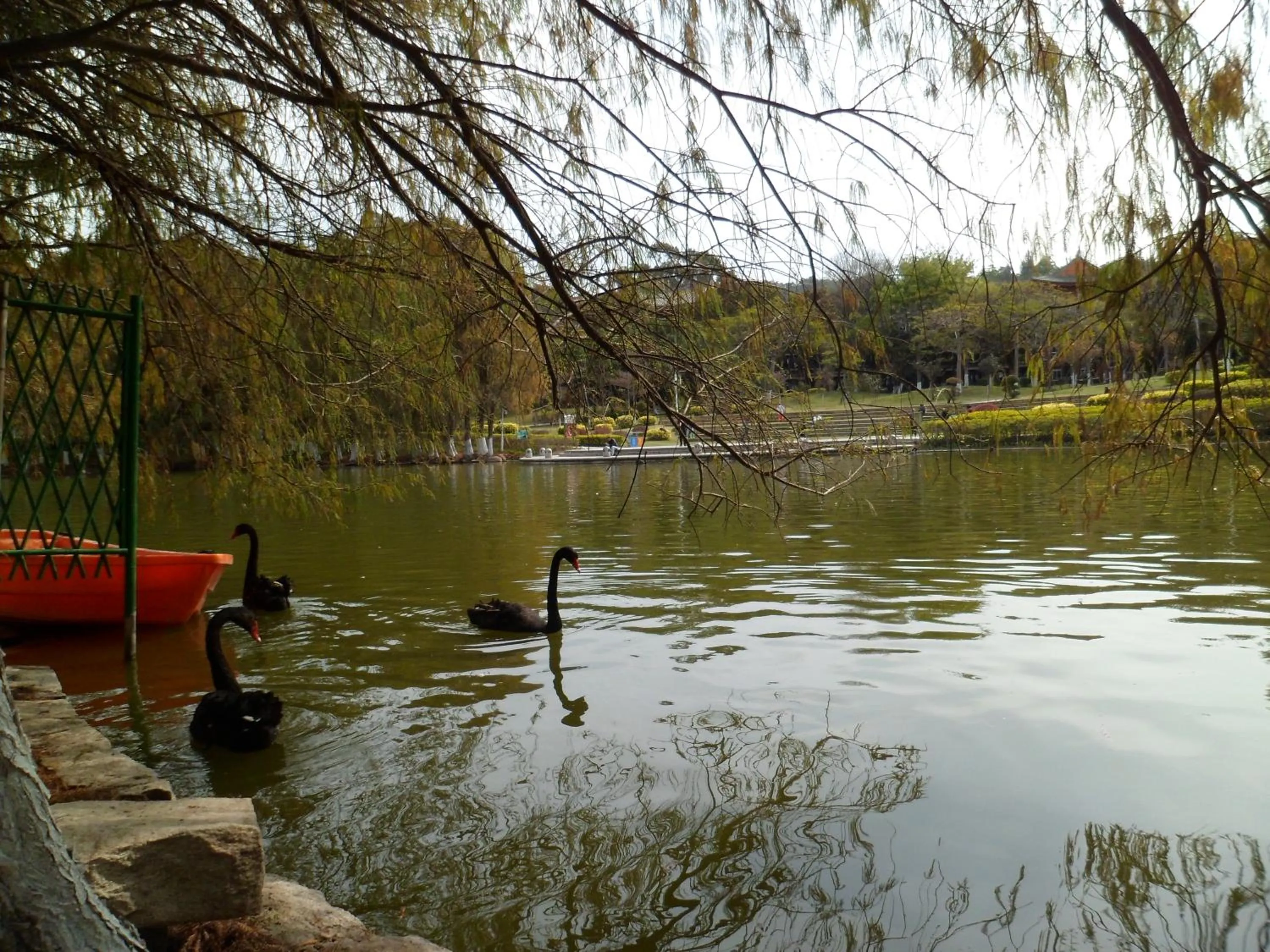 Other in City Hotel Xiamen-Free Welcome Fruits