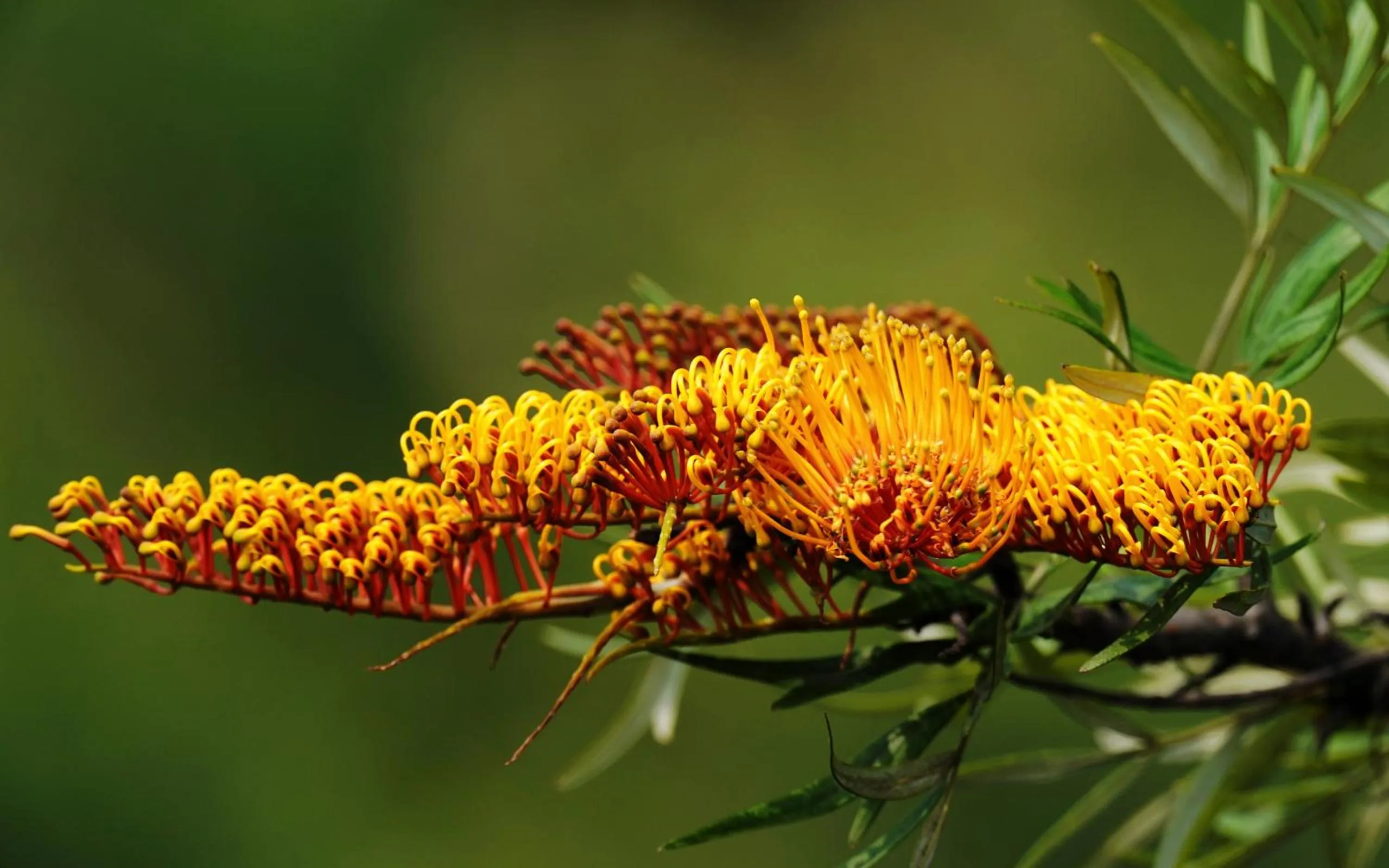 Garden in City Hotel Xiamen-Free Welcome Fruits