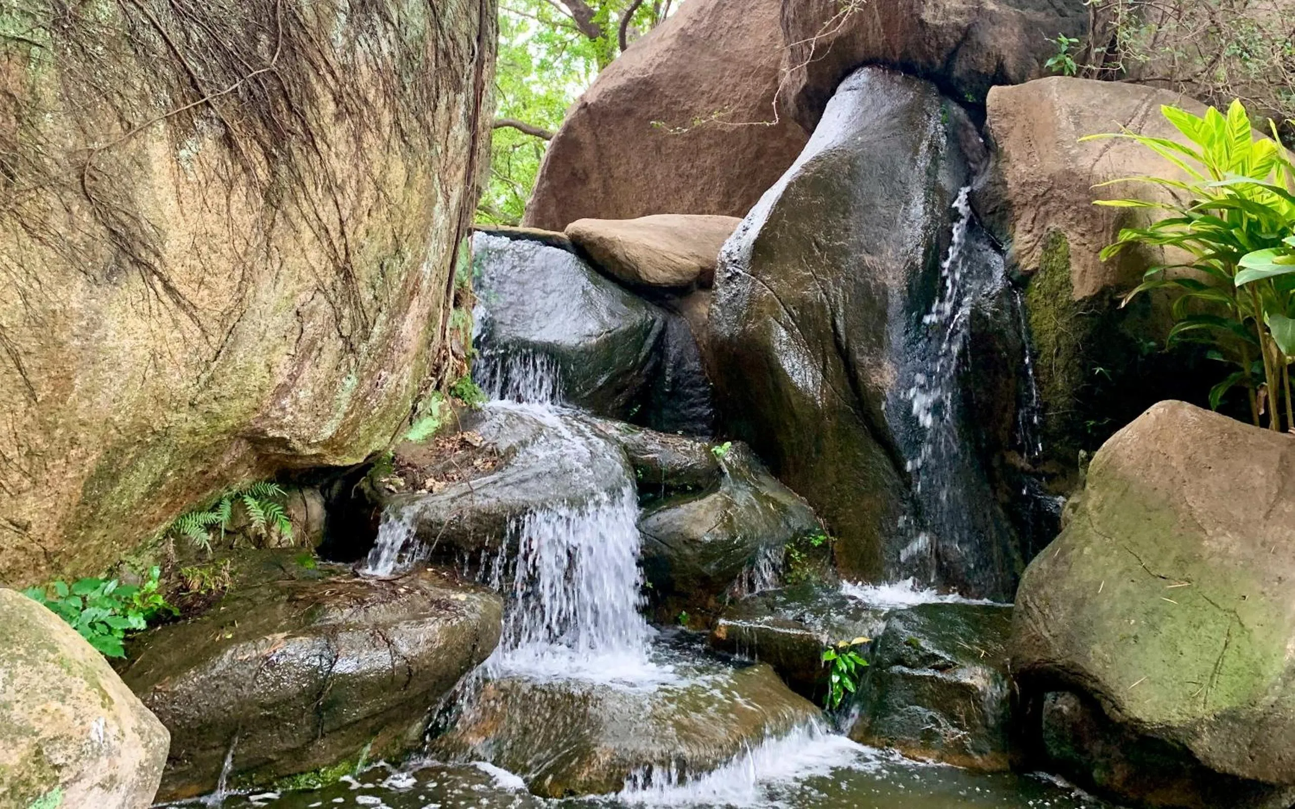Garden view in City Hotel Xiamen-Free Welcome Fruits