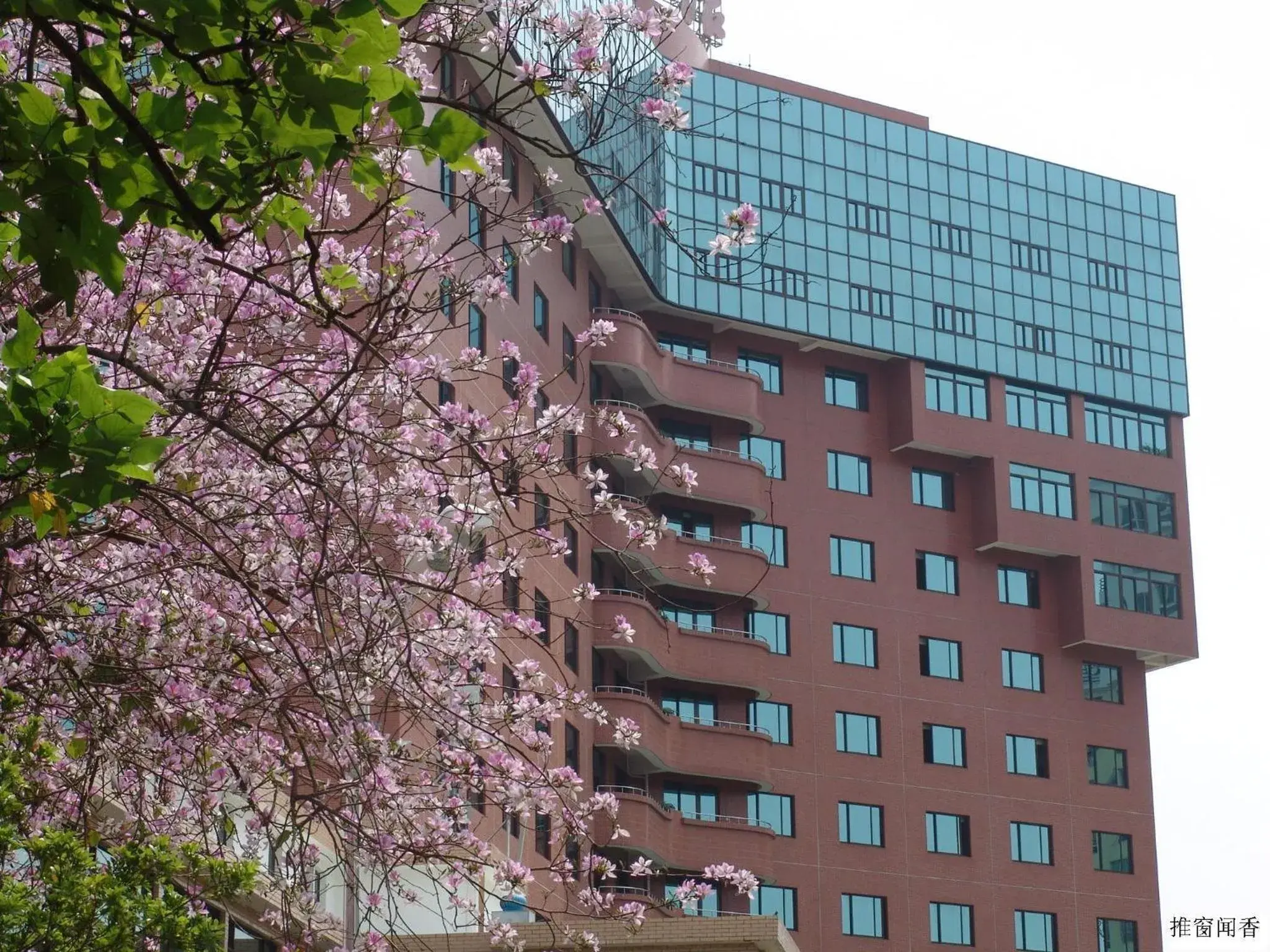 Property building in City Hotel Xiamen-Free Welcome Fruits Property building in City Hotel Xiamen-Free Welcome Fruits