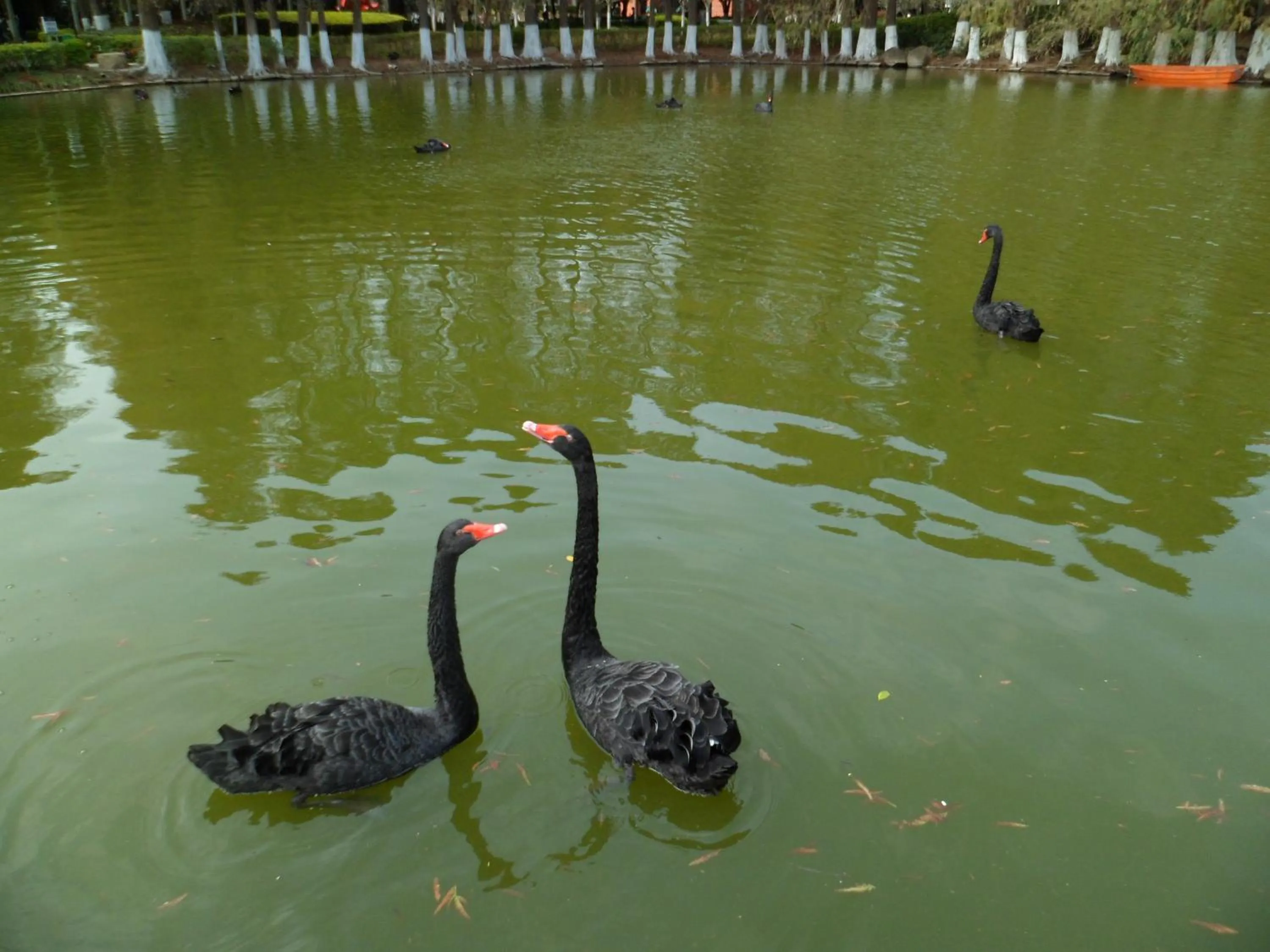 Other in City Hotel Xiamen-Free Welcome Fruits