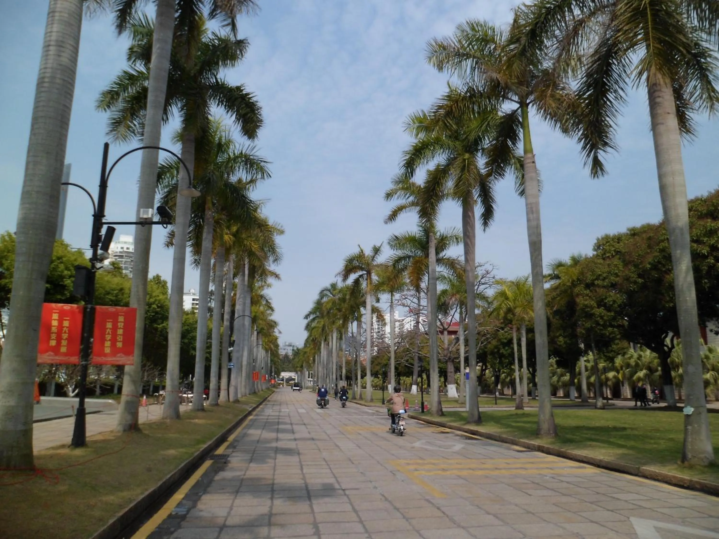 Other in City Hotel Xiamen-Free Welcome Fruits