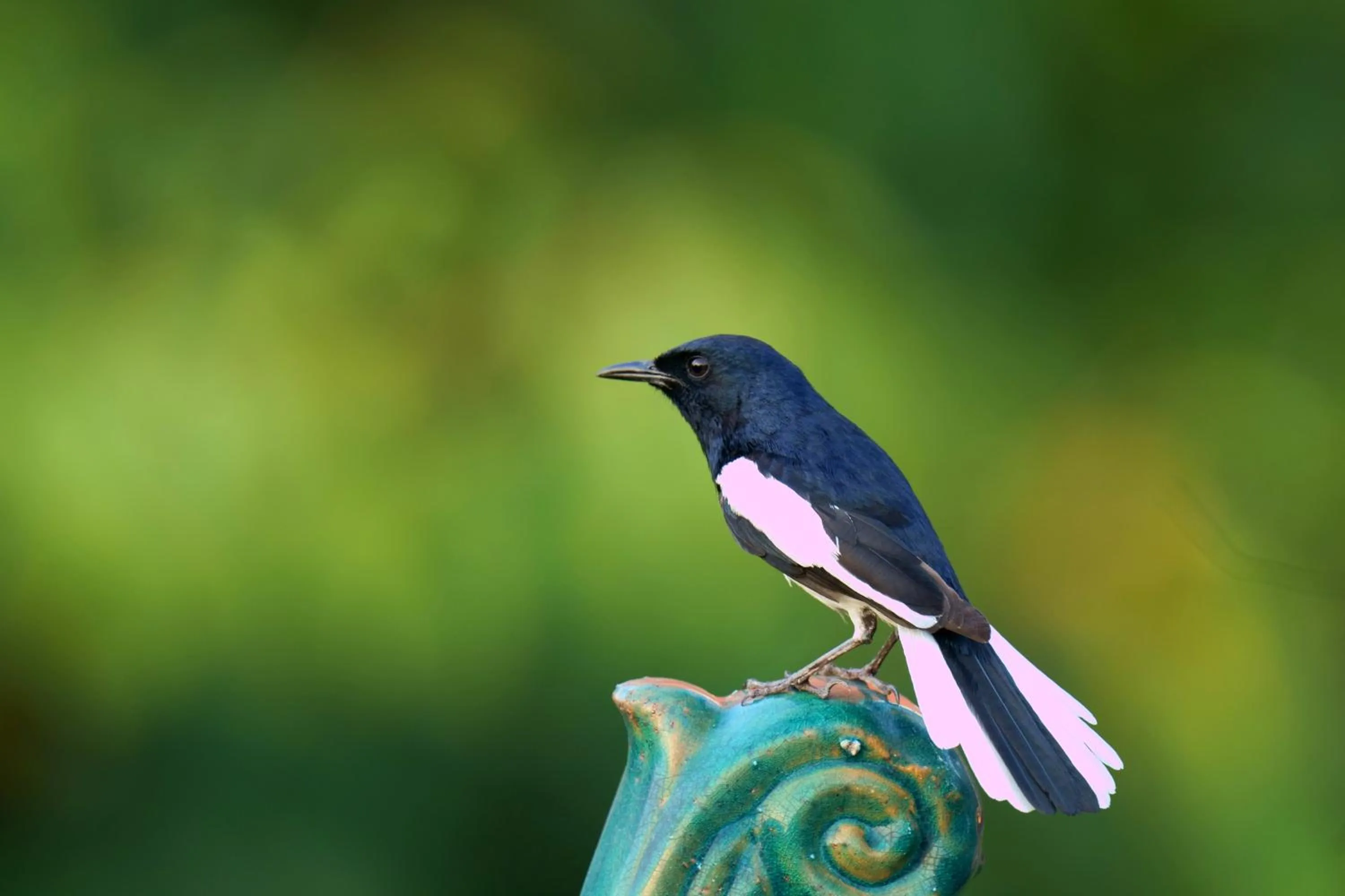 Property building in City Hotel Xiamen-Free Welcome Fruits