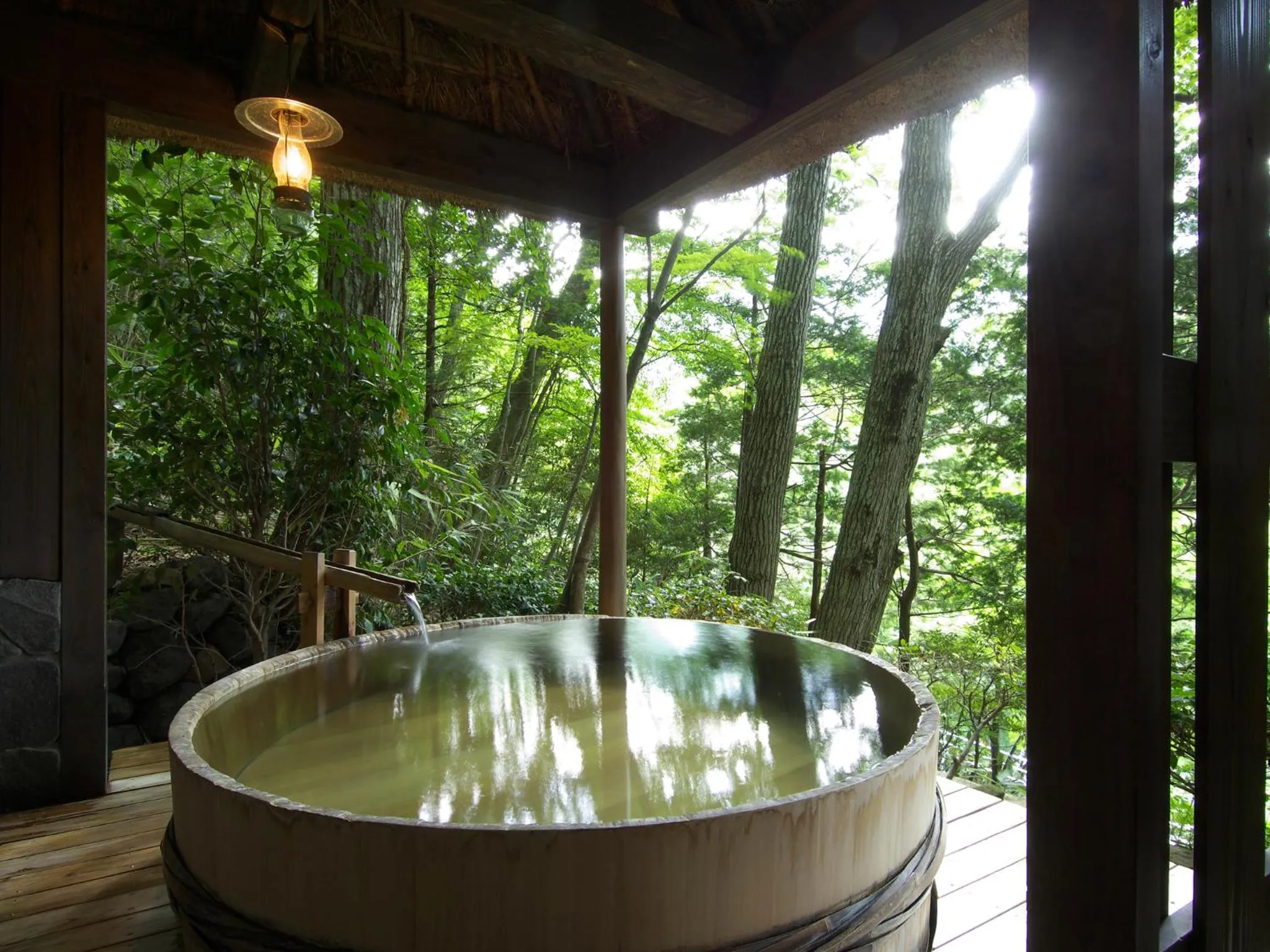 Hot Spring Bath in Musashino Bekkan