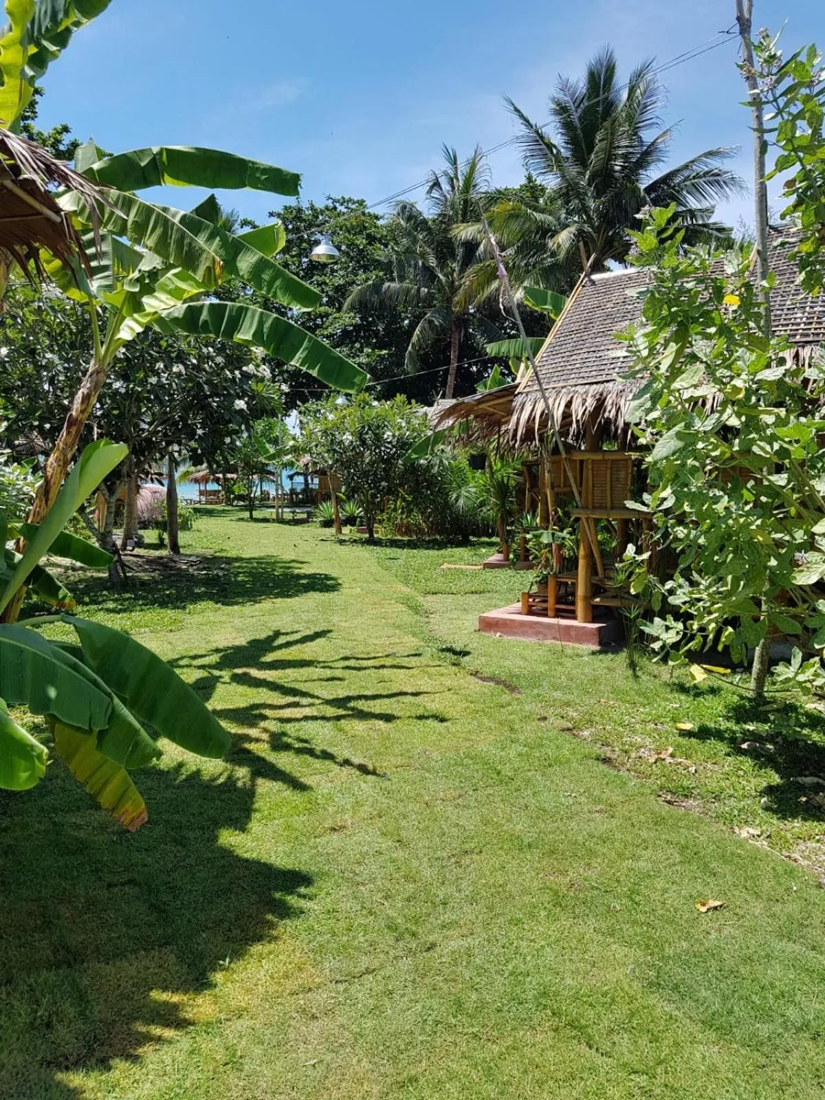 Natural landscape in Margarita Beach