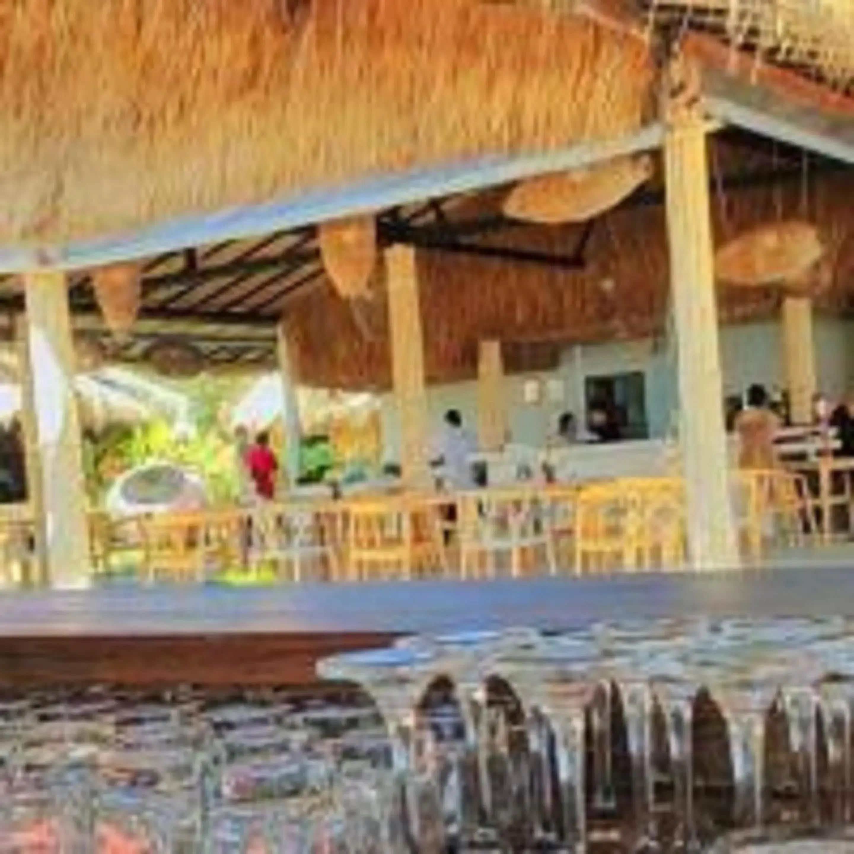 Lounge or bar in Margarita Beach Lounge or bar in Margarita Beach