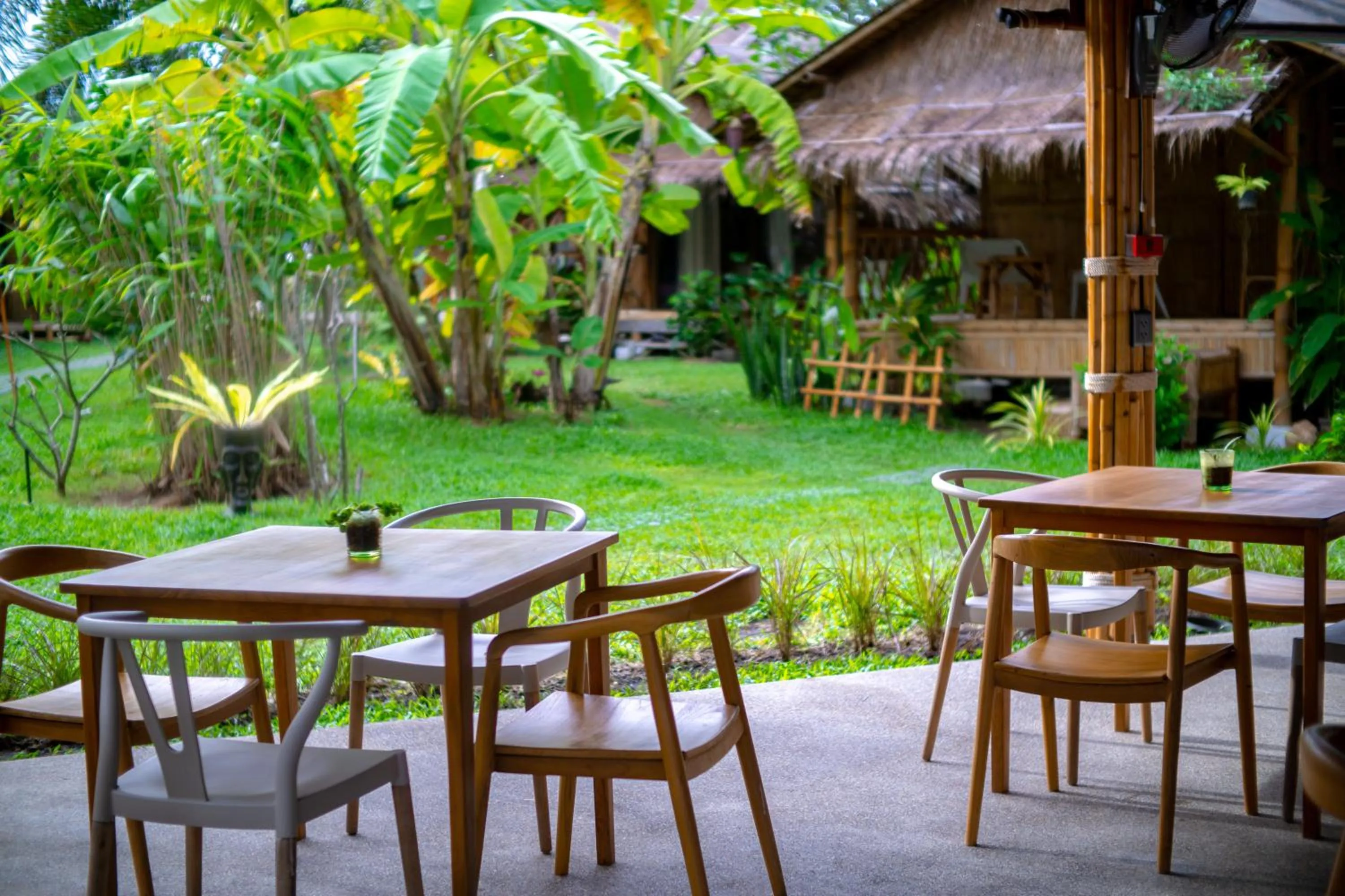 Restaurant/places to eat in Margarita Beach