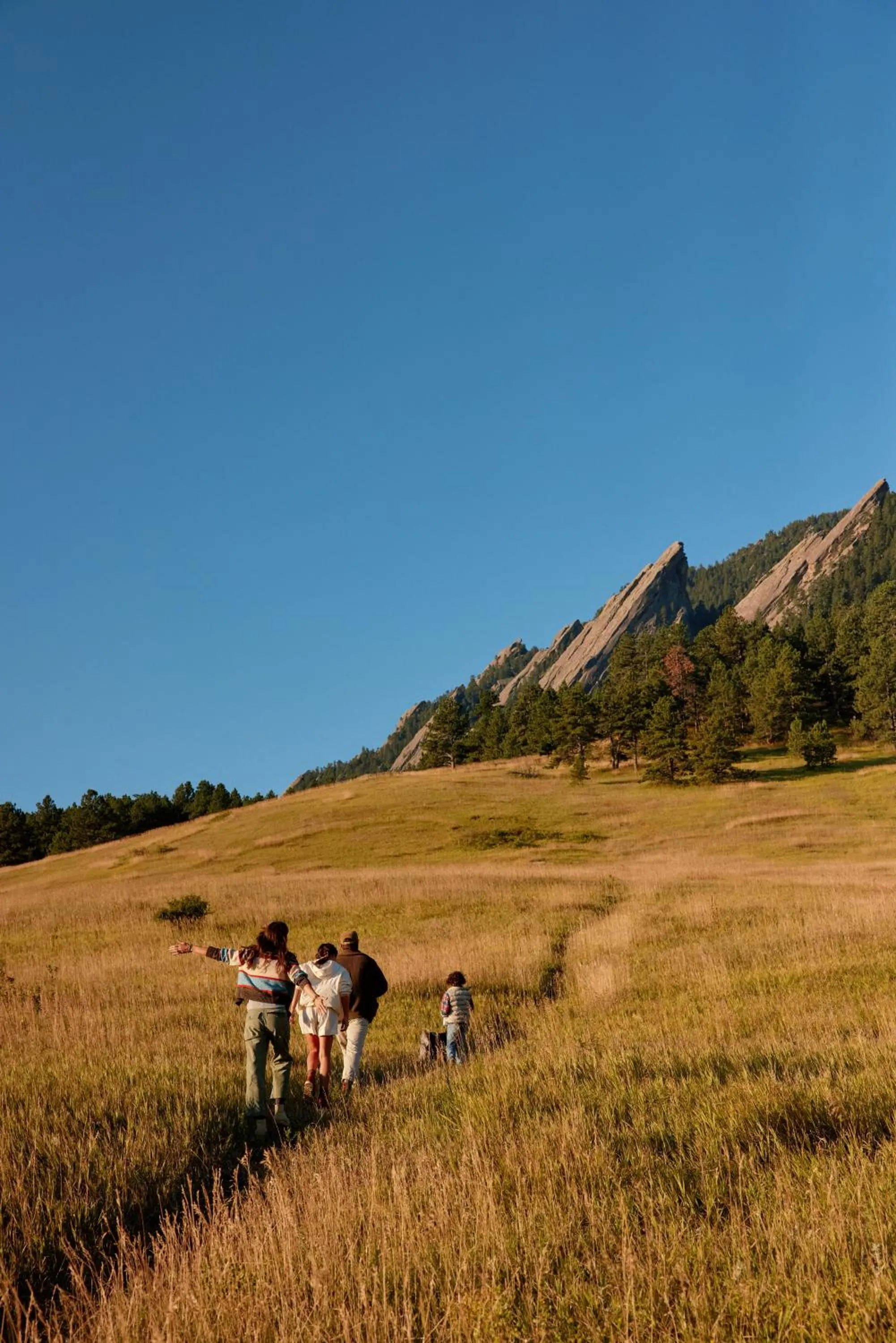 Day in Limelight Boulder