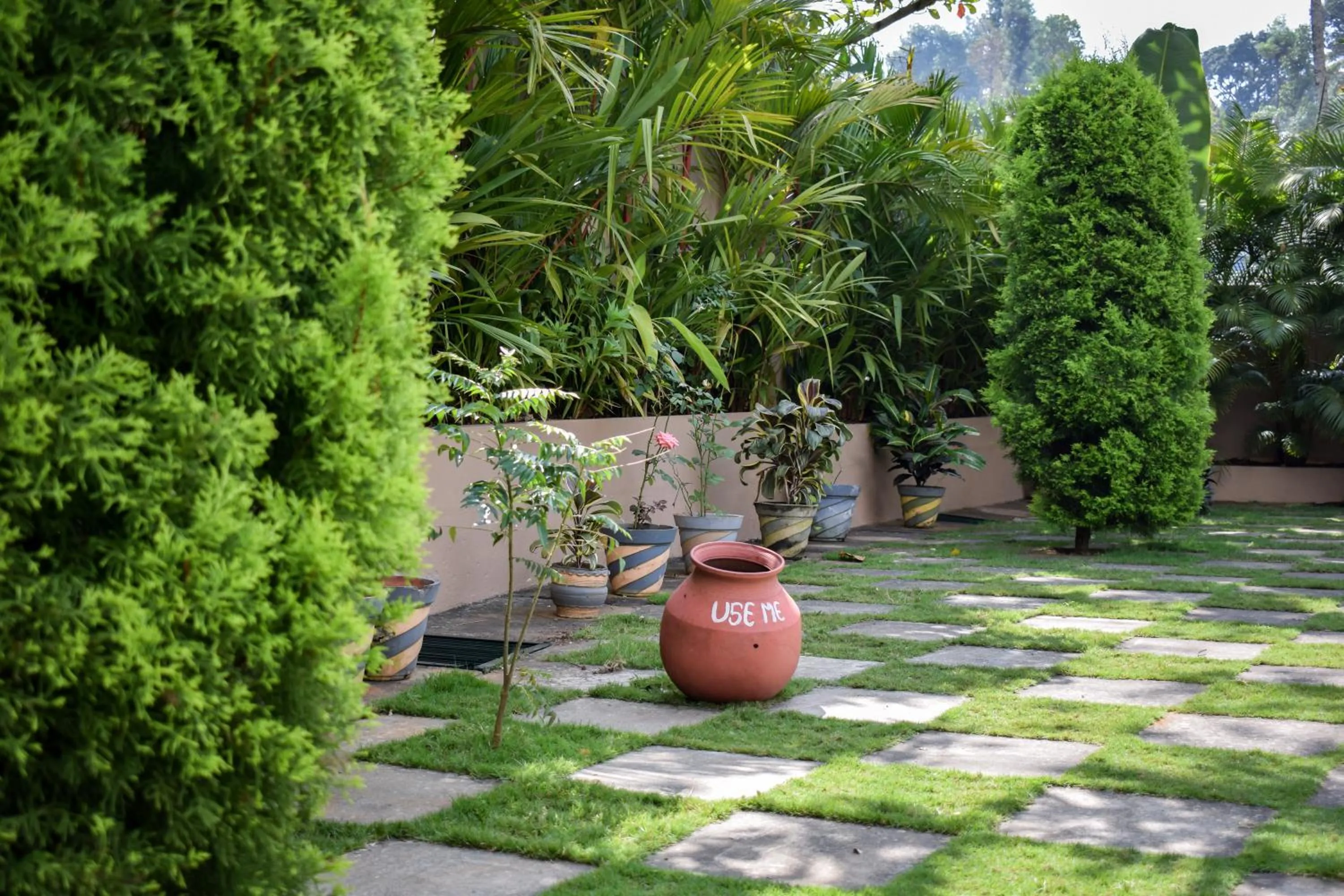 Garden in Peppervine Hotel