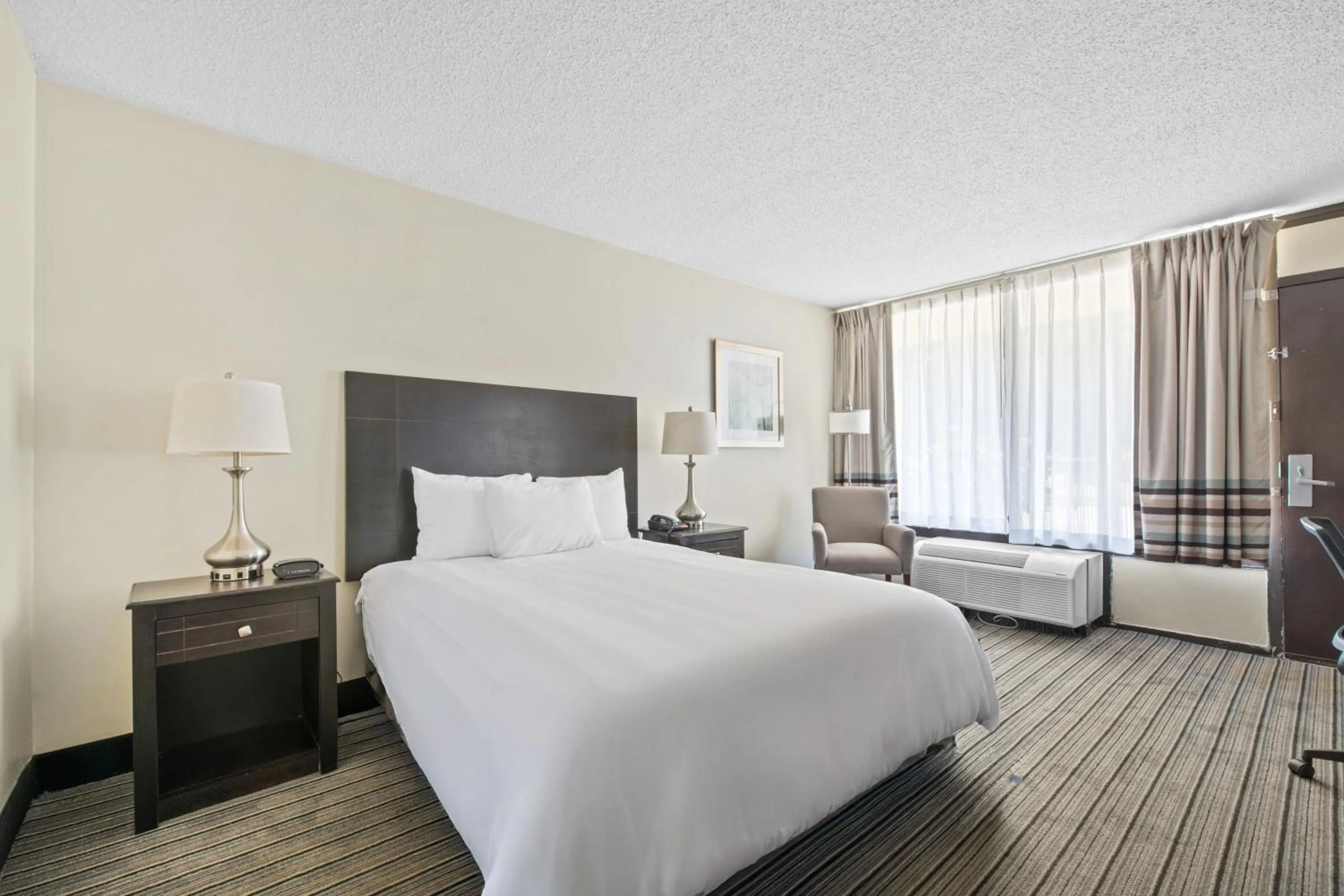 Double Room in Hotel Francis