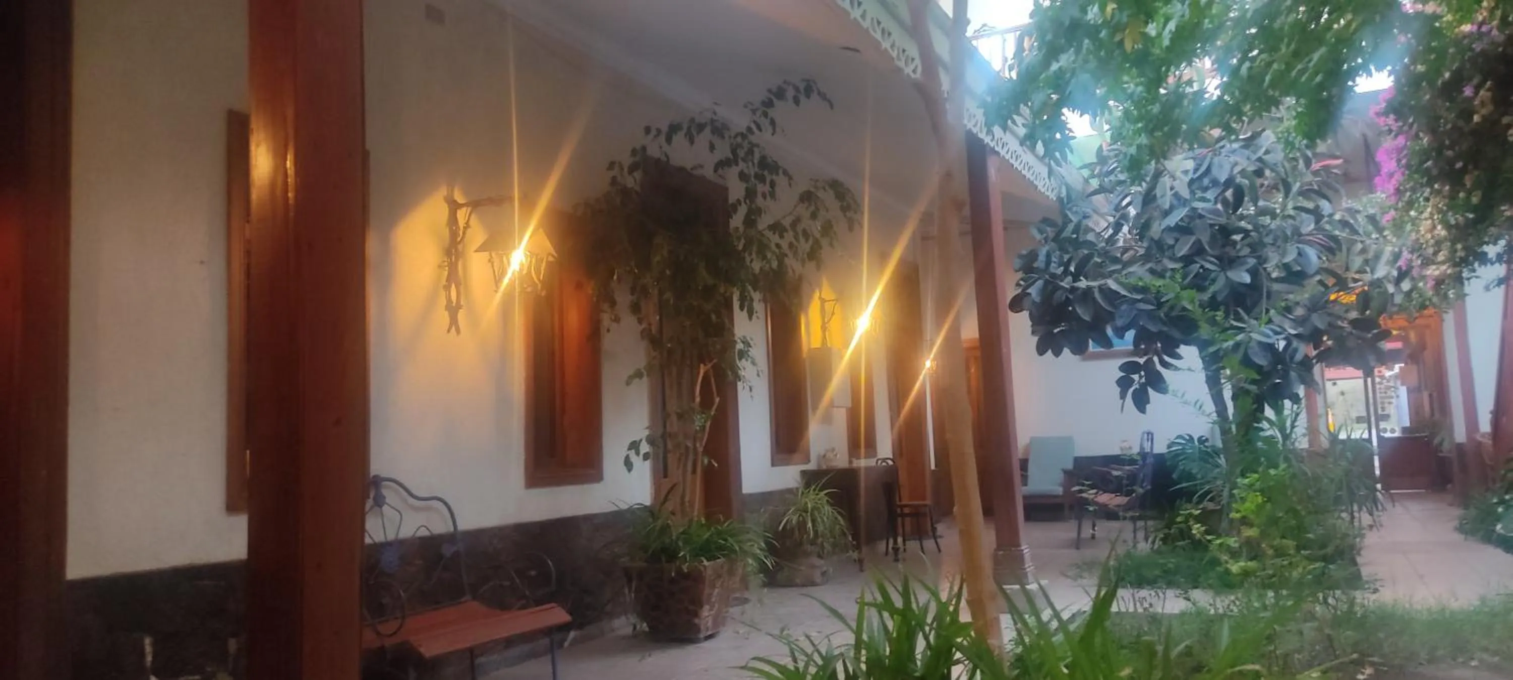 Garden view in Halley