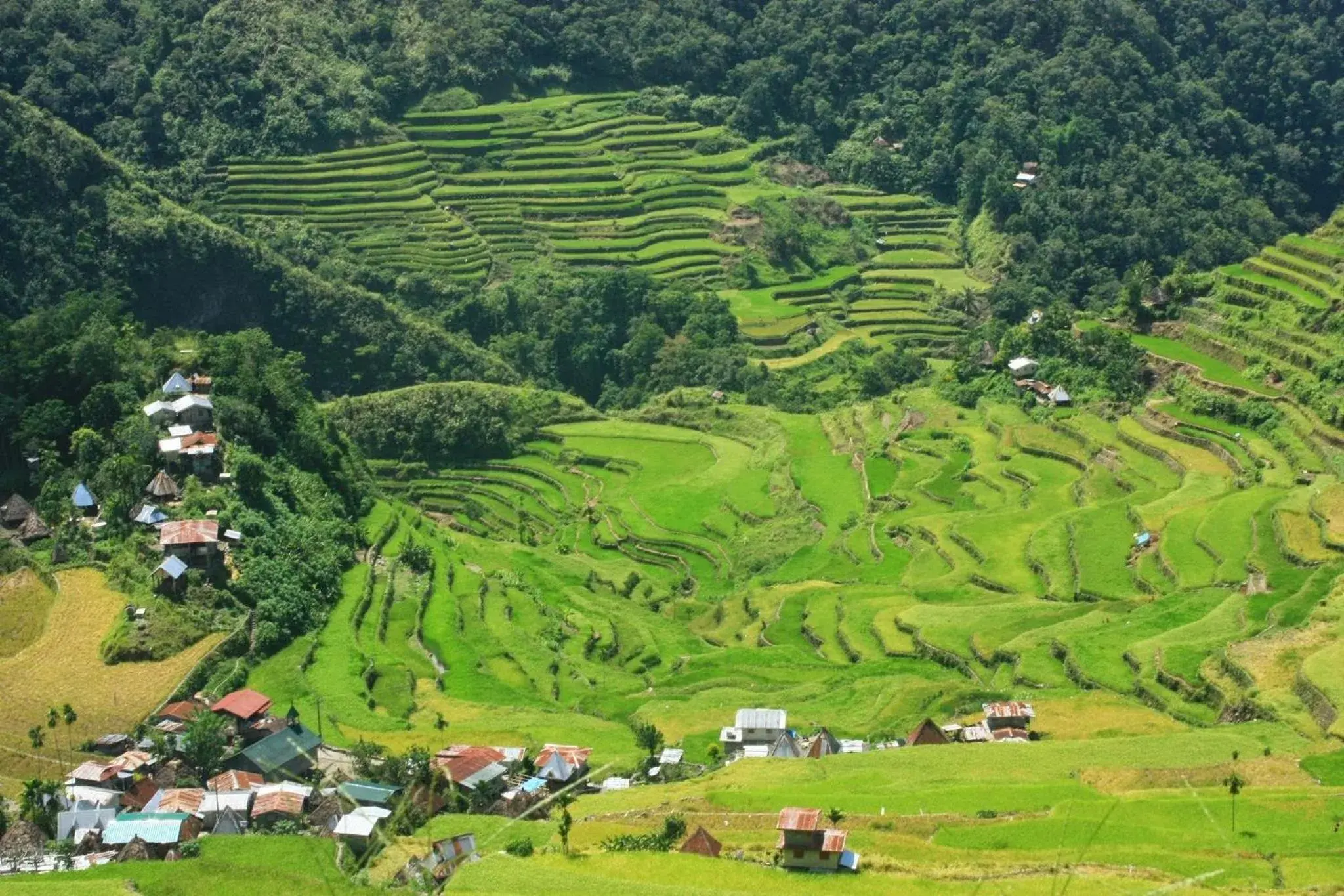 Bird's eye view in Batad Transient House Bird's eye view in Batad Transient House