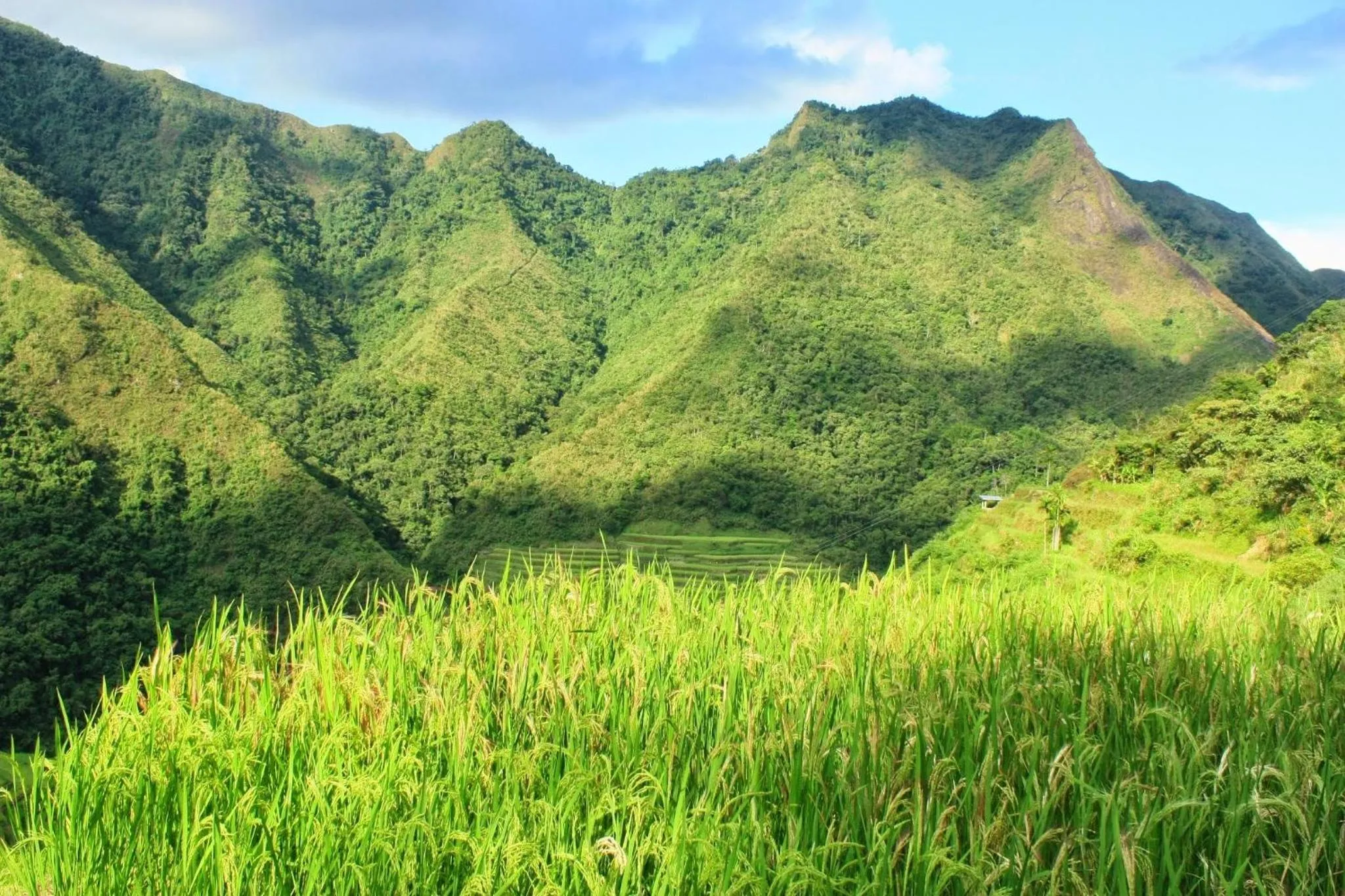 Garden view in Batad Transient House